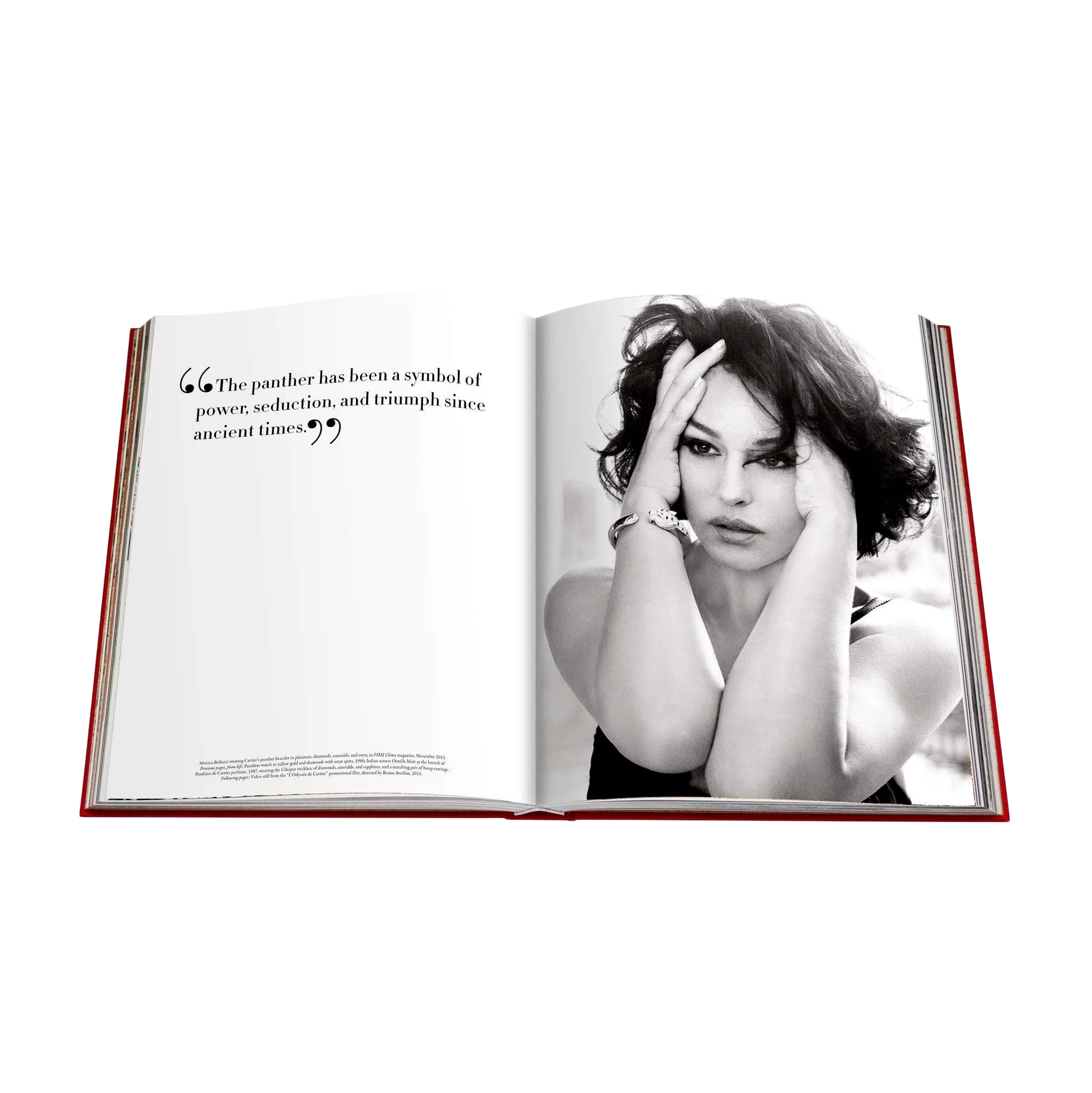 73430 ASSOULINE CARTIER PANTHÉRE LIVRO - Image 3