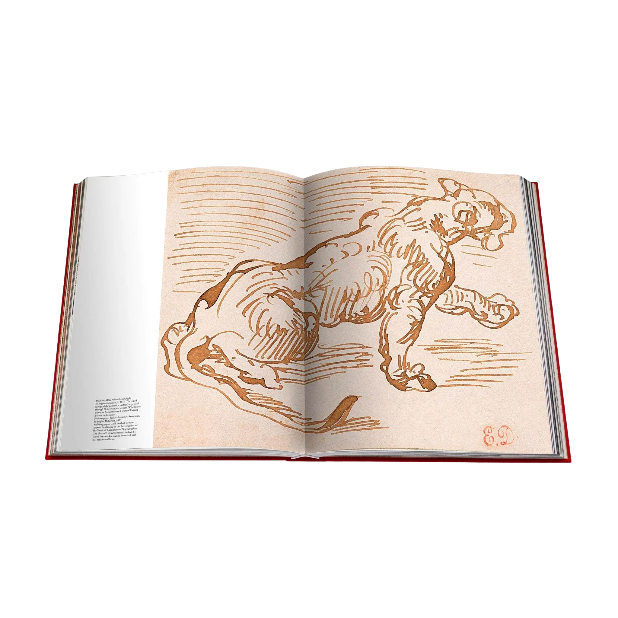 73430 ASSOULINE CARTIER PANTHÉRE LIVRO - Image 4