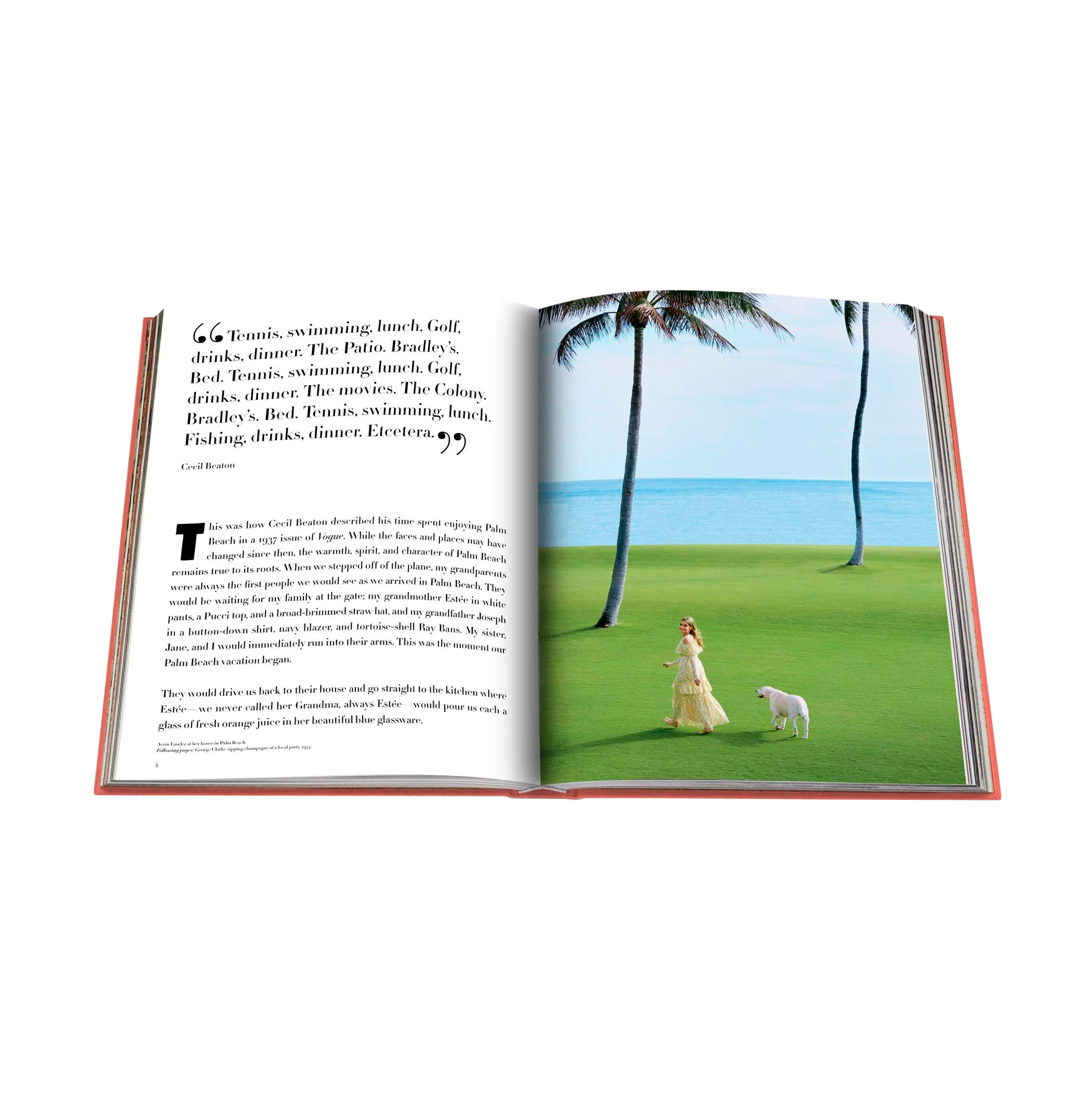 81022 ASSOULINE PALM BEACH LIVRO - Image 3