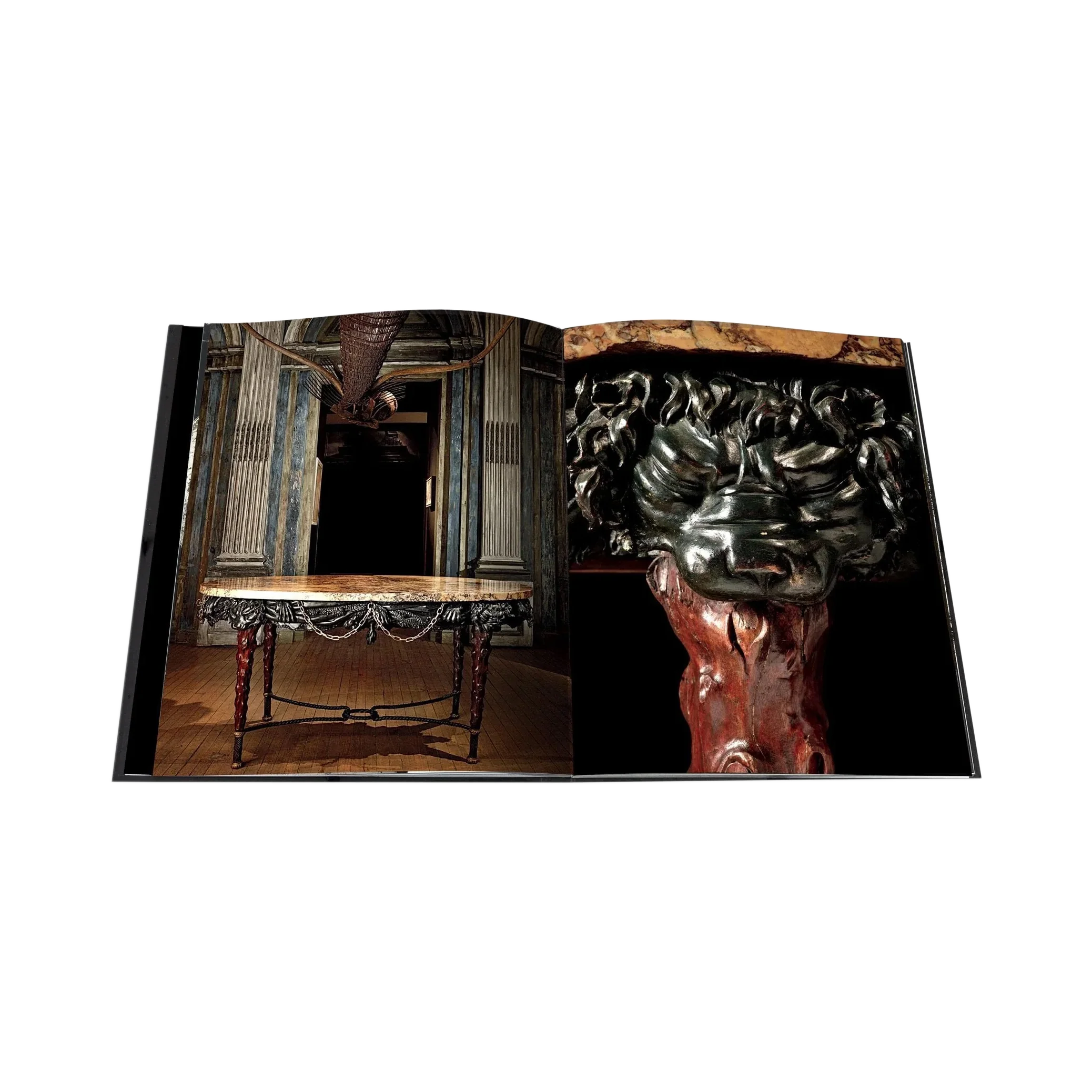83369 ASSOULINE LE CABINET DE CURIOSITES LIVRO - Image 4