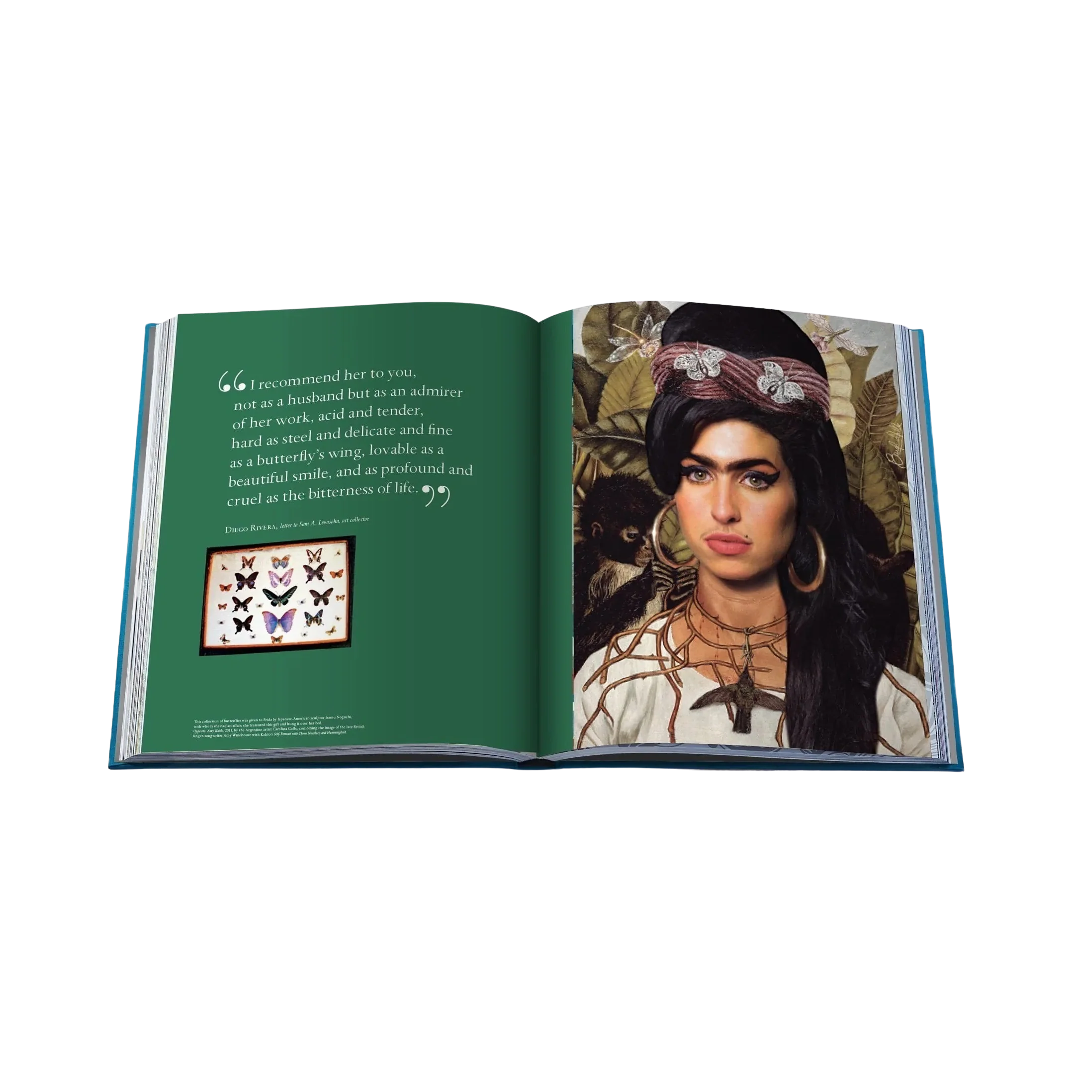 86465 ASSOULINE FRIDA KAHLO LIVRO - Image 4