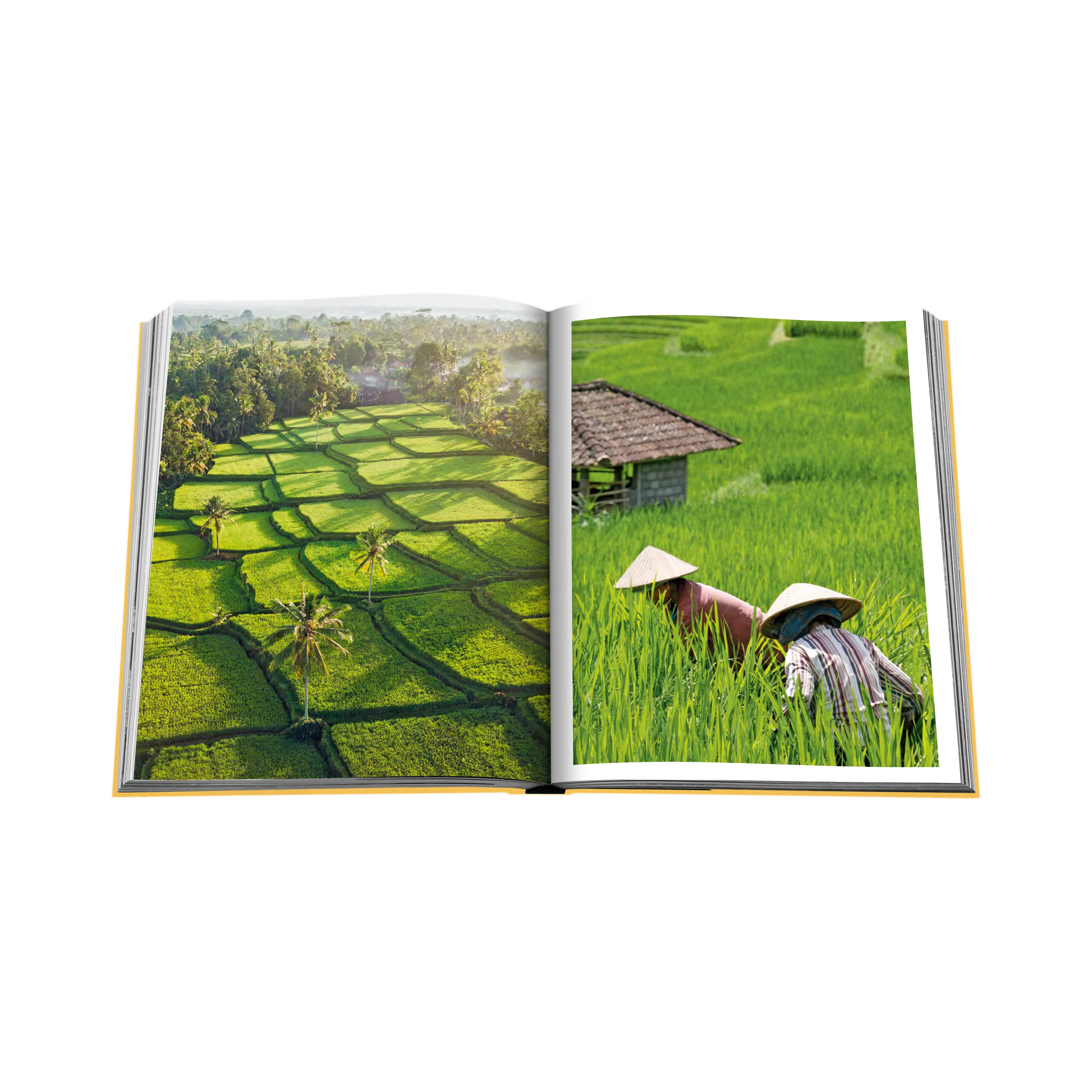 88158 ASSOULINE BALI MYSTIQUE LIVRO - Image 3
