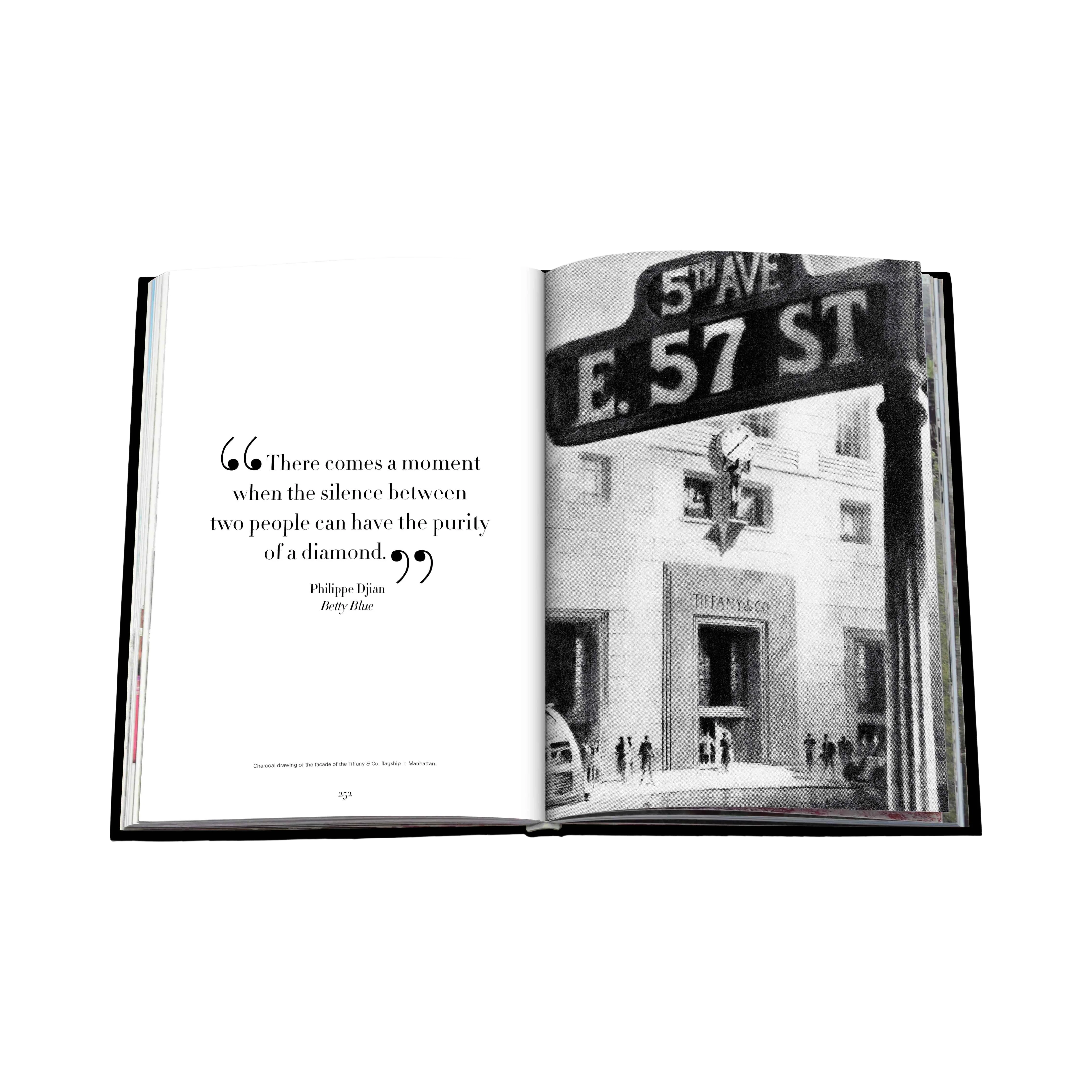 88766 ASSOULINE TIFFANY & CO. VISION AND VIRTUOSITY LIVRO - Image 5
