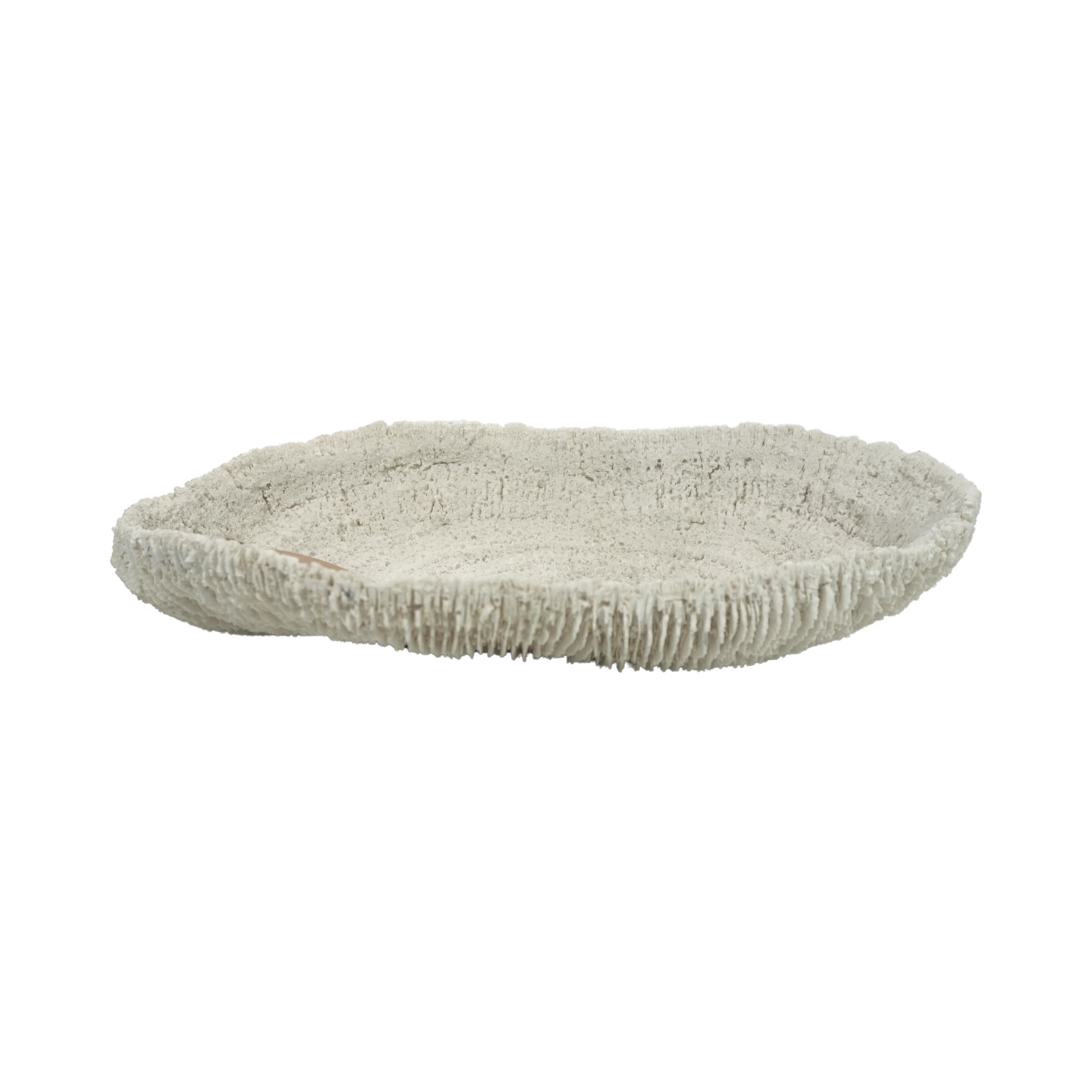 88819 REEF PRATO DECORATIVO L.29,5CM