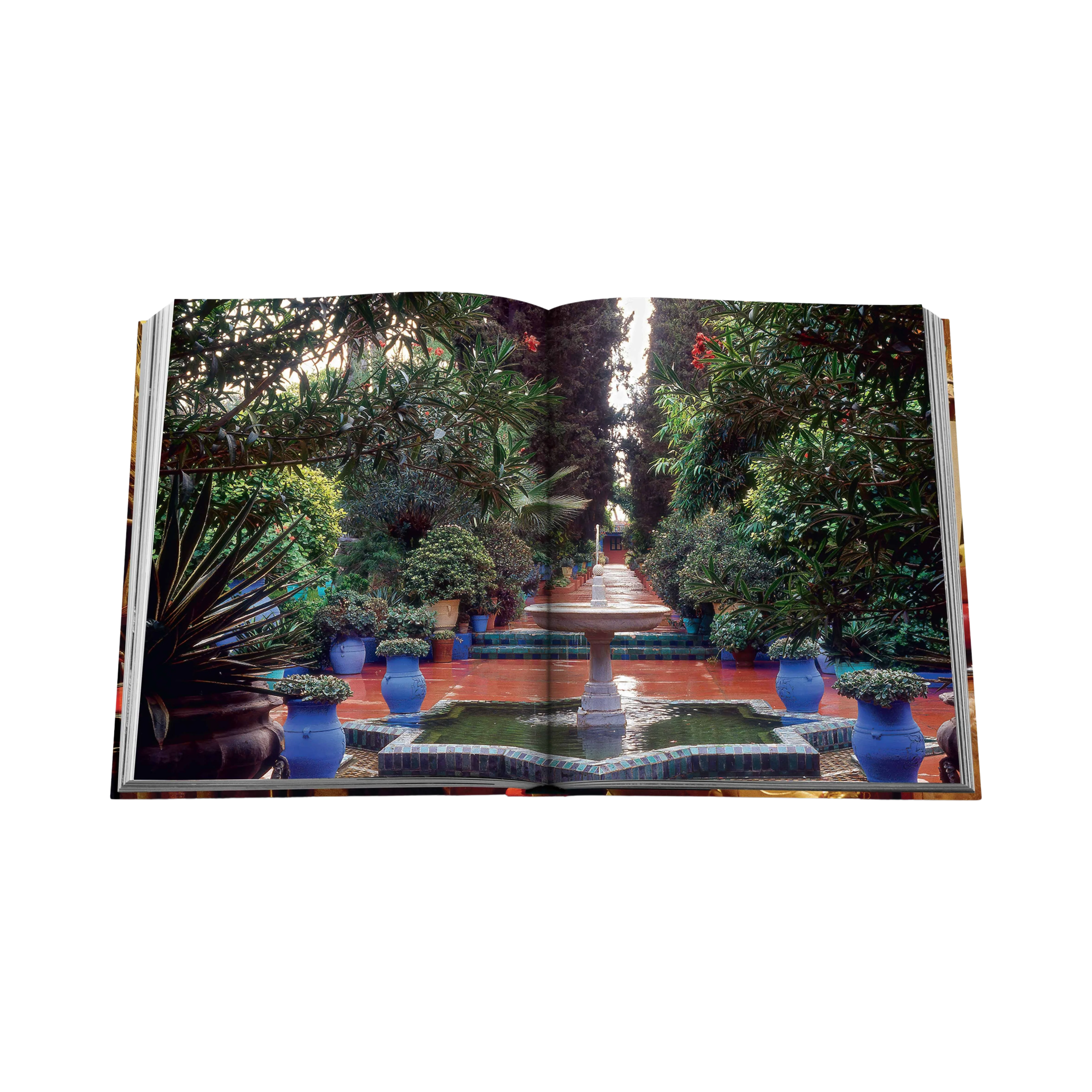 88858 ASSOULINE YVES SAINT LAURENT AT HOME LIVRO - Image 4