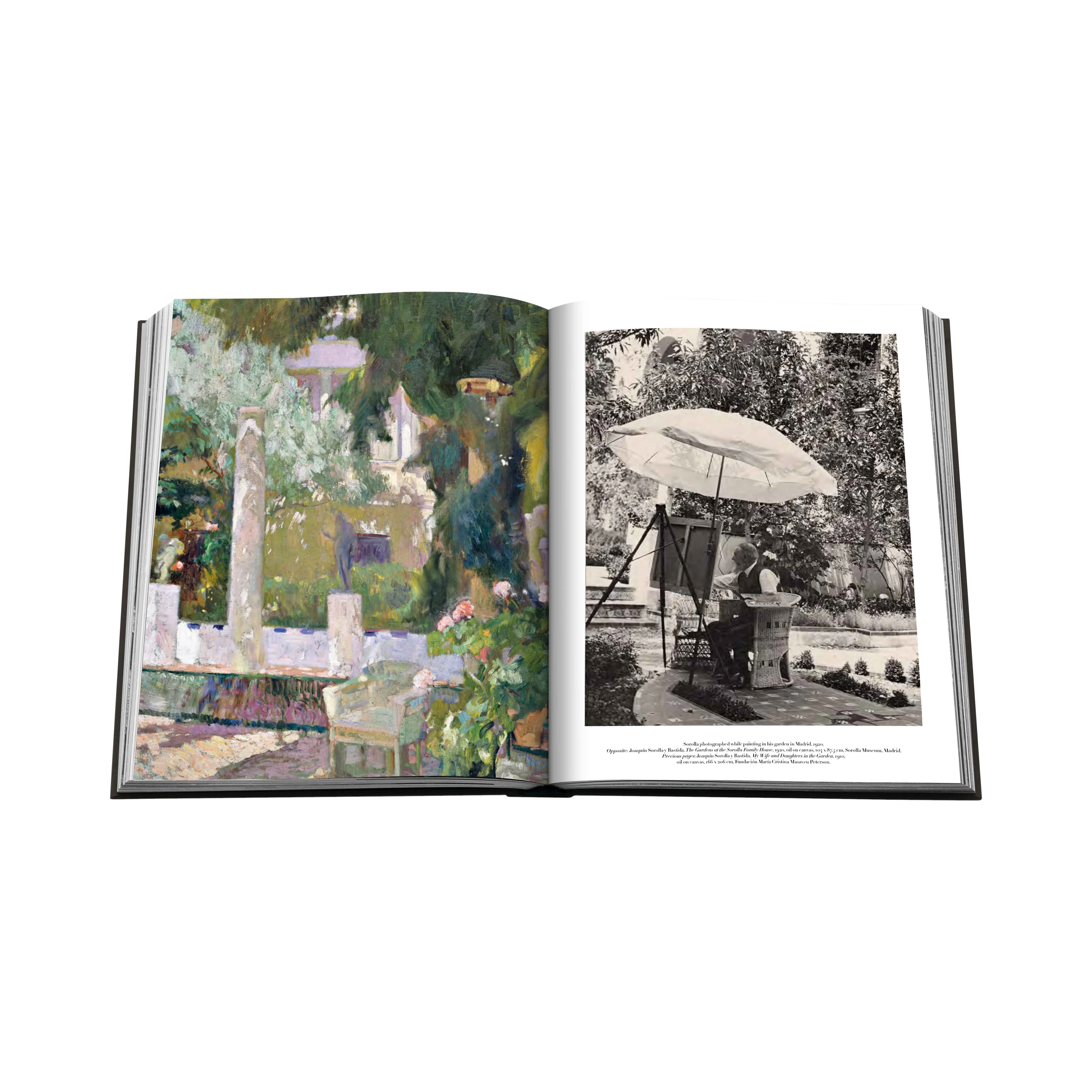 89393 ASSOULINE SOROLLA LIVRO - Image 7