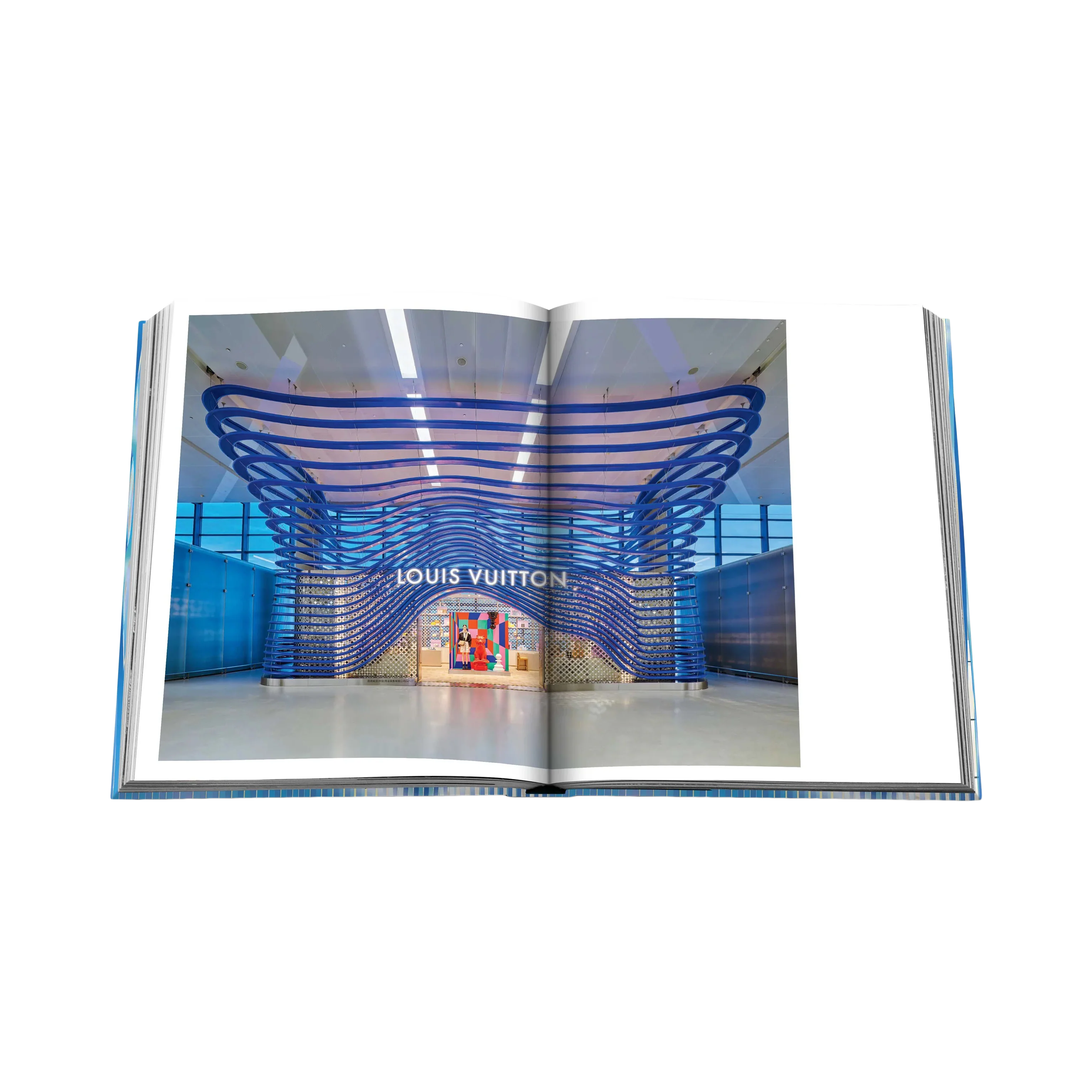 89488 ASSOULINE LOUIS VUITTON SKIN (PARIS) LIVRO - Image 7