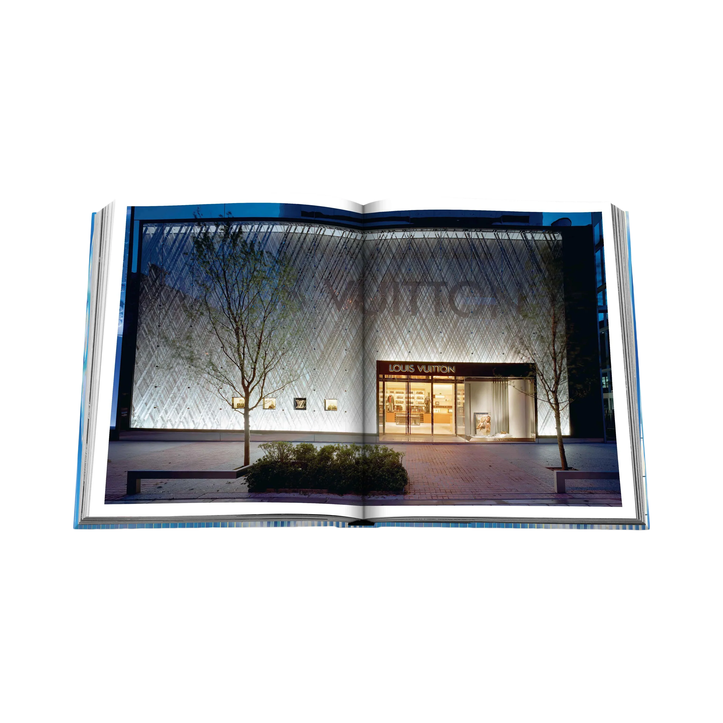 89493 ASSOULINE LOUIS VUITTON SKIN (SEOUL) LIVRO - Image 2