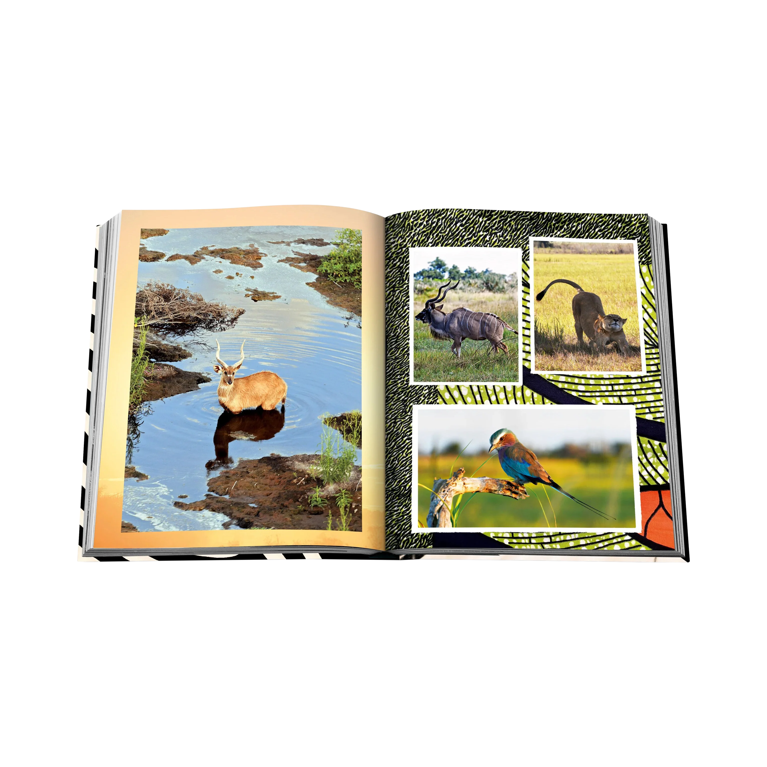 89919 ASSOULINE THE GREATEST SAFARI ON EARTH LIVRO - Image 2