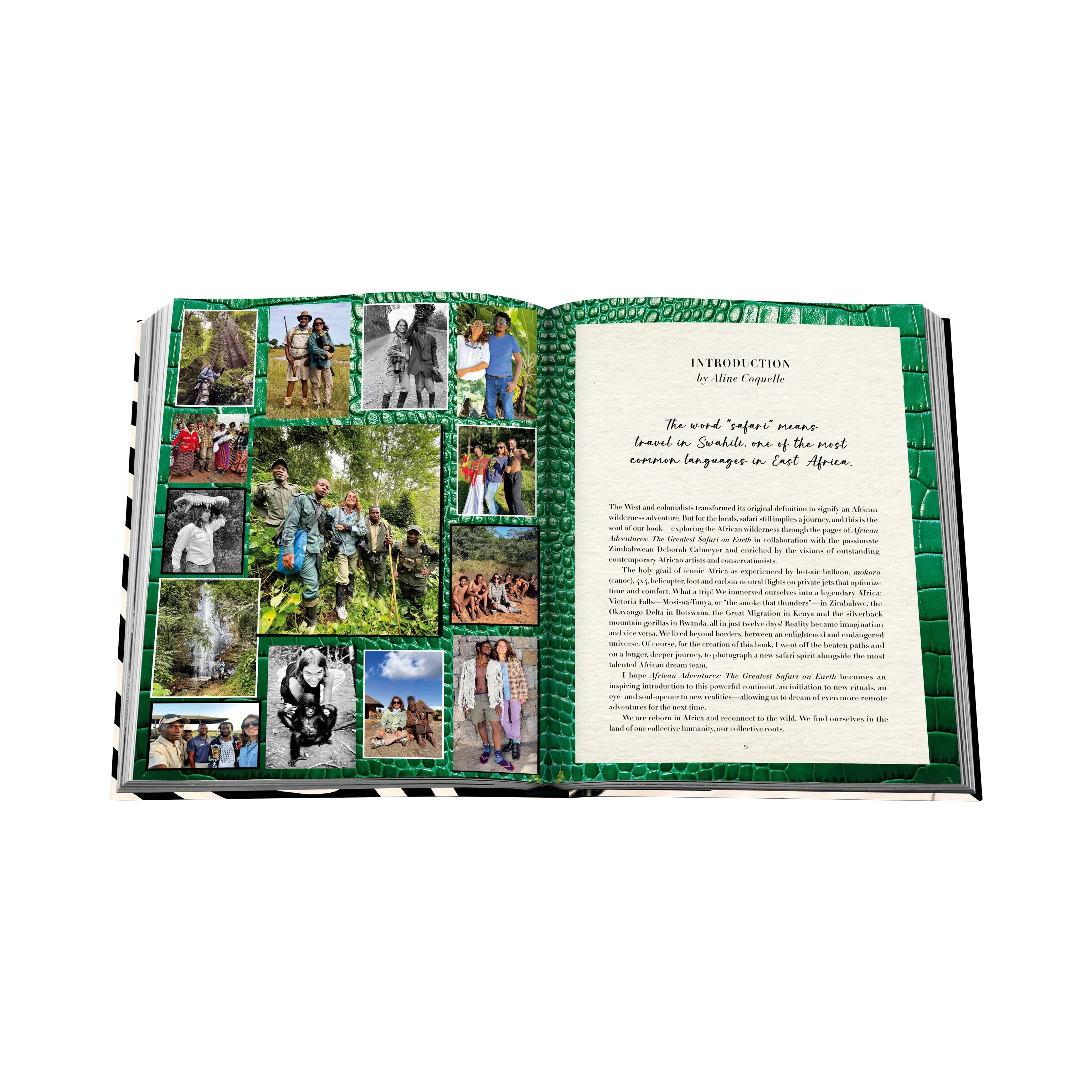 89919 ASSOULINE THE GREATEST SAFARI ON EARTH LIVRO - Image 6