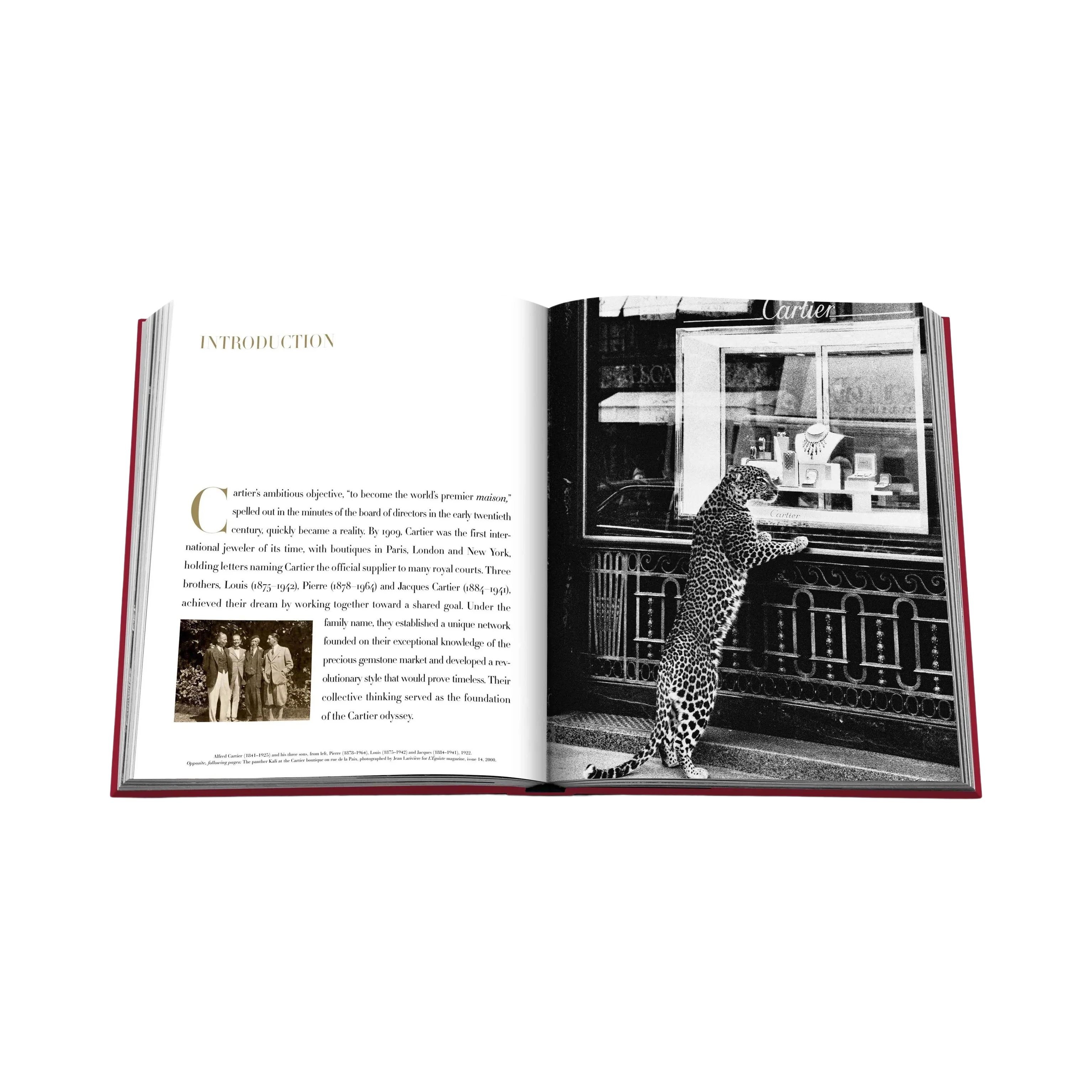 90469 ASSOULINE CARTIER: THE IMPOSSIBLE COLLECTION LIVRO - Image 4
