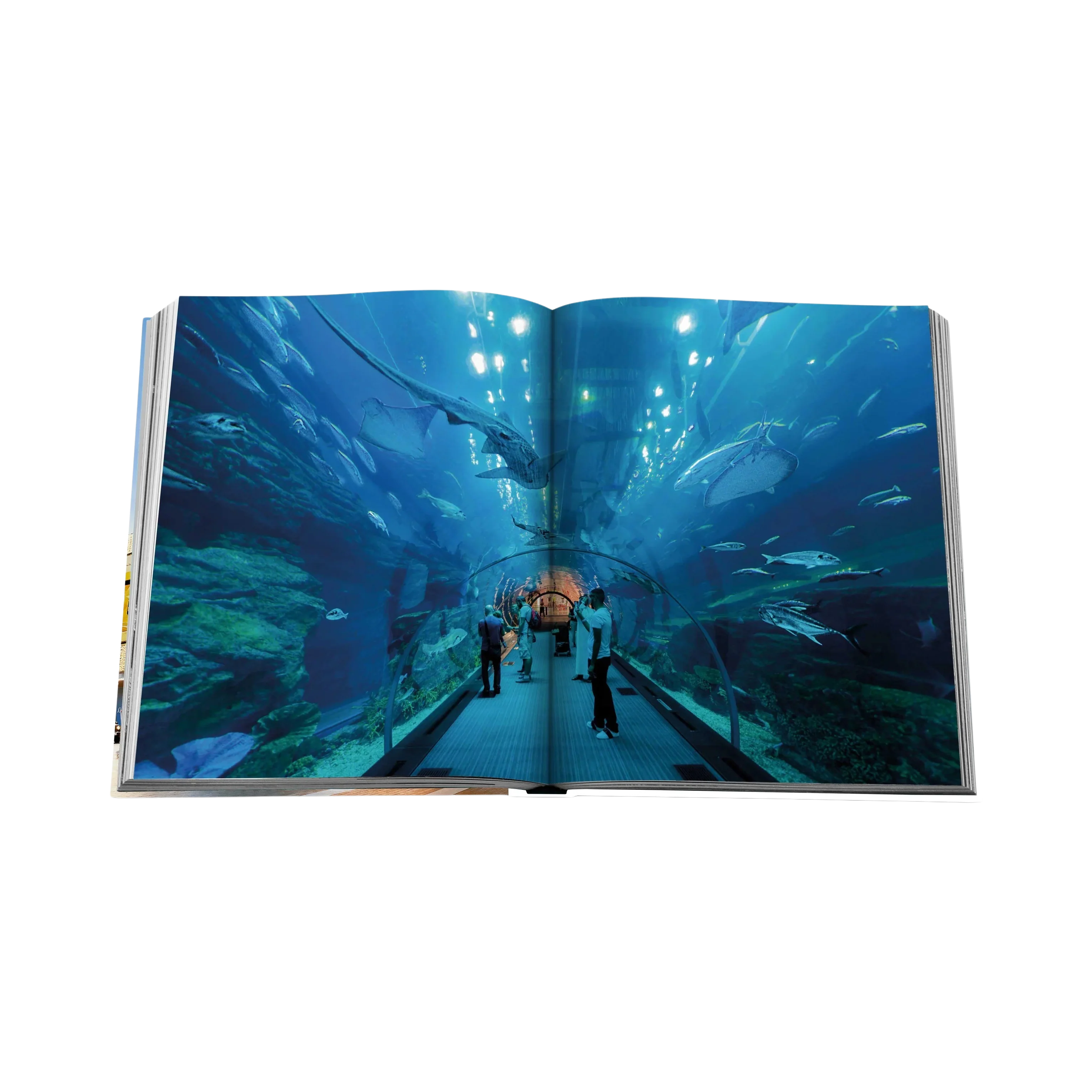 90474 ASSOULINE DUBAI MALL: A MALL LIKE NO OTHER LIVRO - Image 3