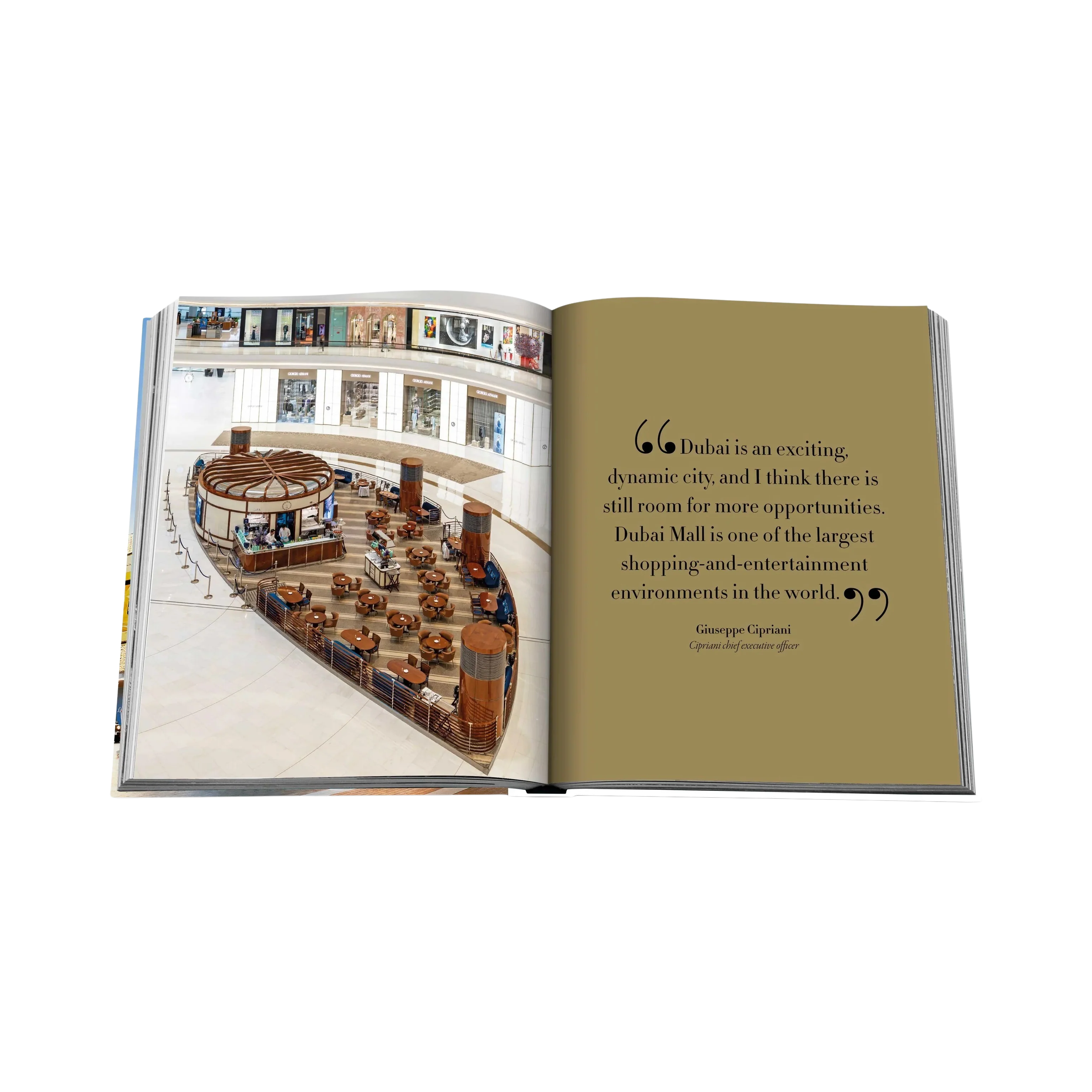 90474 ASSOULINE DUBAI MALL: A MALL LIKE NO OTHER LIVRO - Image 4