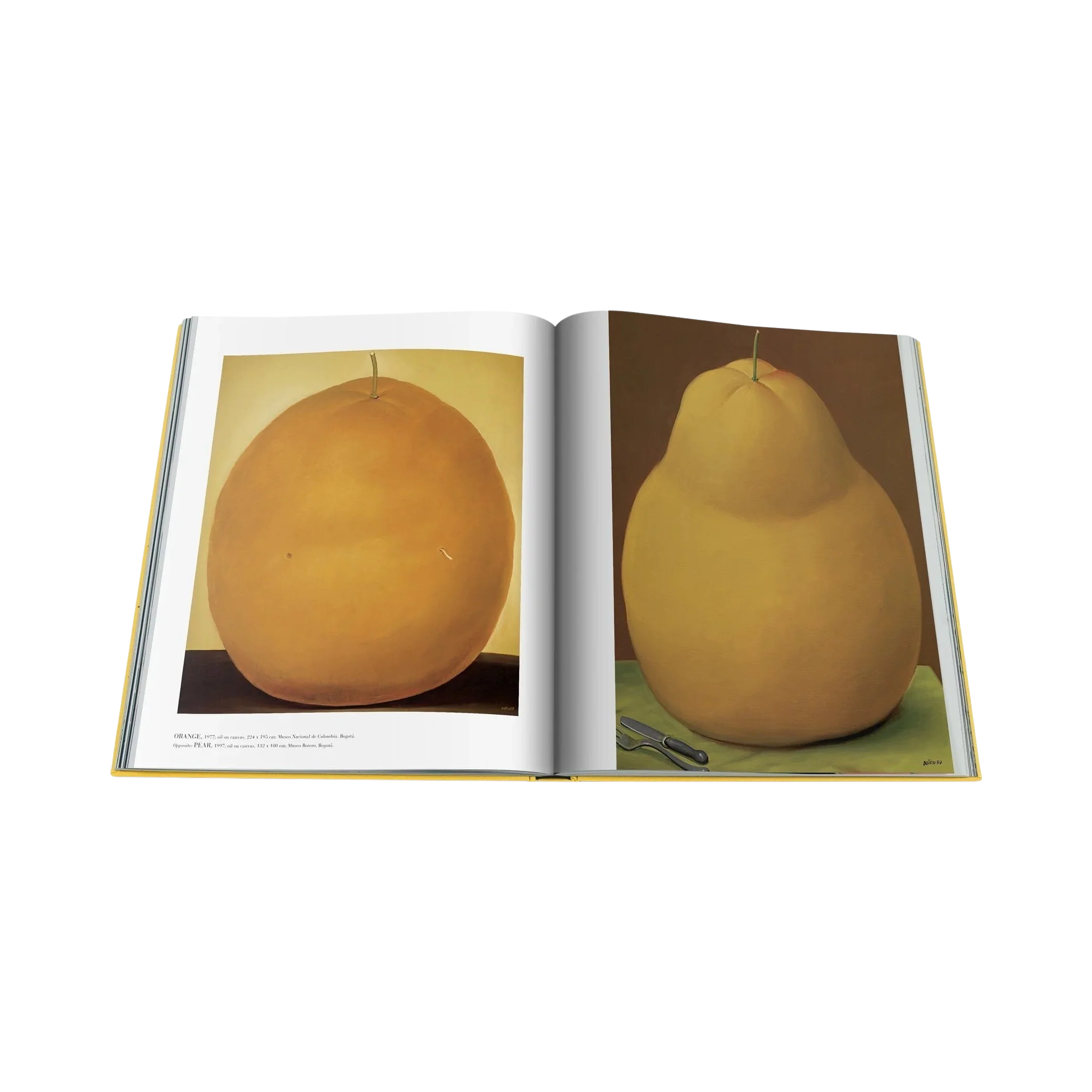 90475 ASSOULINE FERNANDO BOTERO LIVRO - Image 6