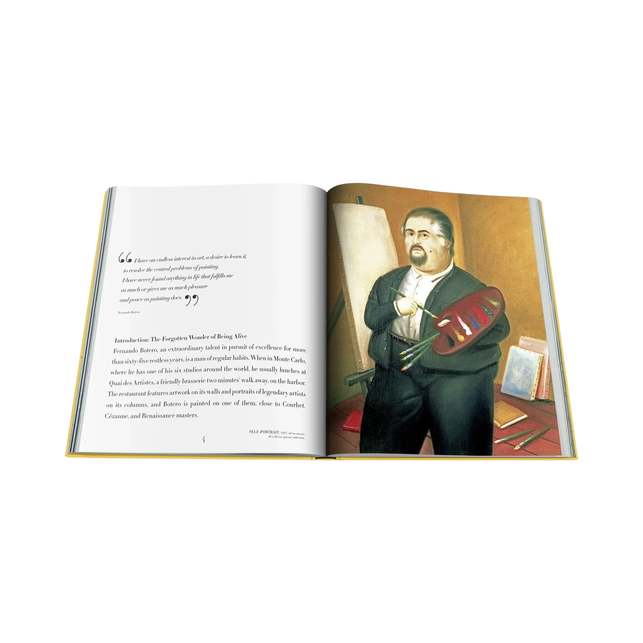 90475 ASSOULINE FERNANDO BOTERO LIVRO - Image 7