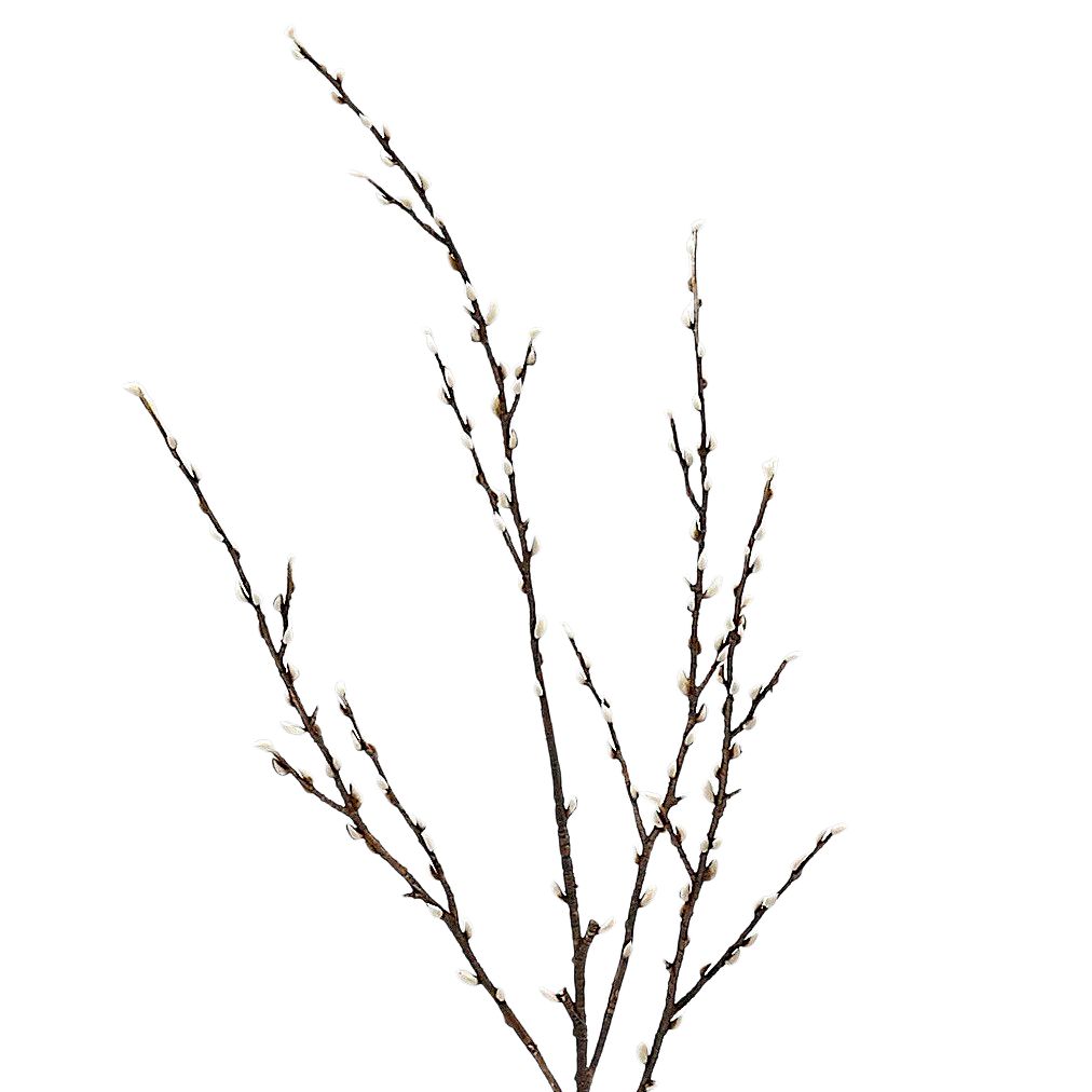 91524 HEATHER RAMO ARTIFICIAL - Image 2