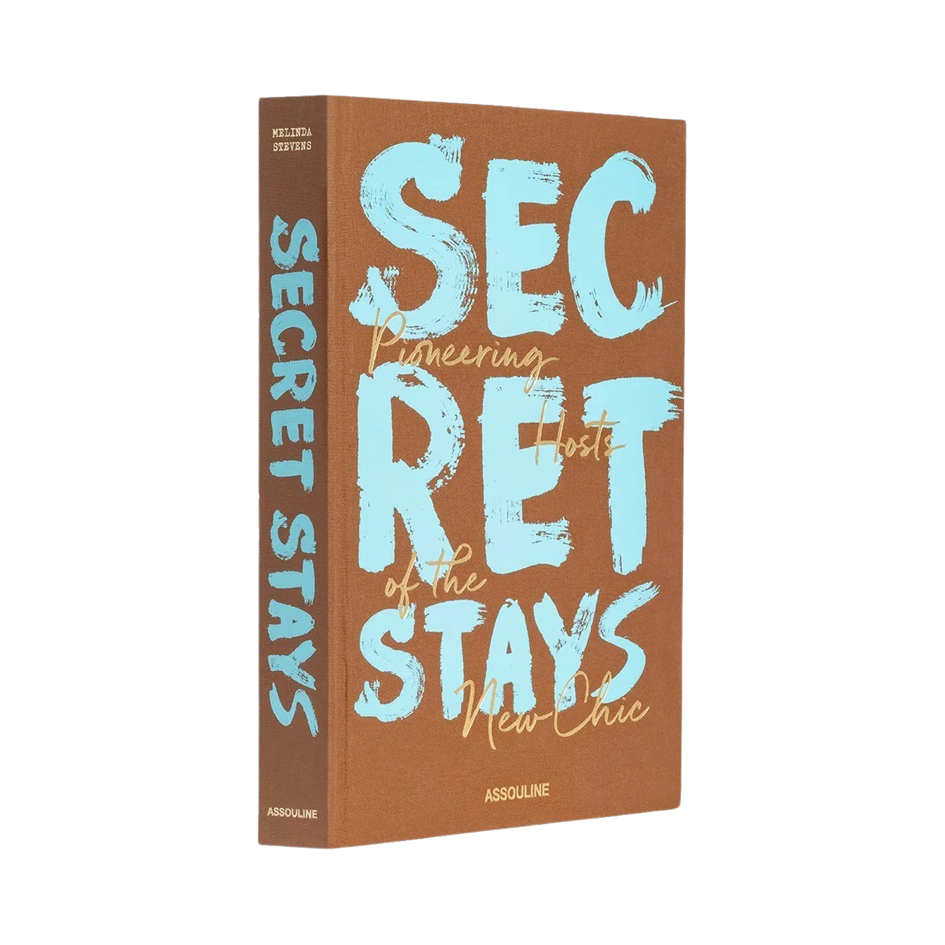 91675 ASSOULINE SECRET STAYS LIVRO