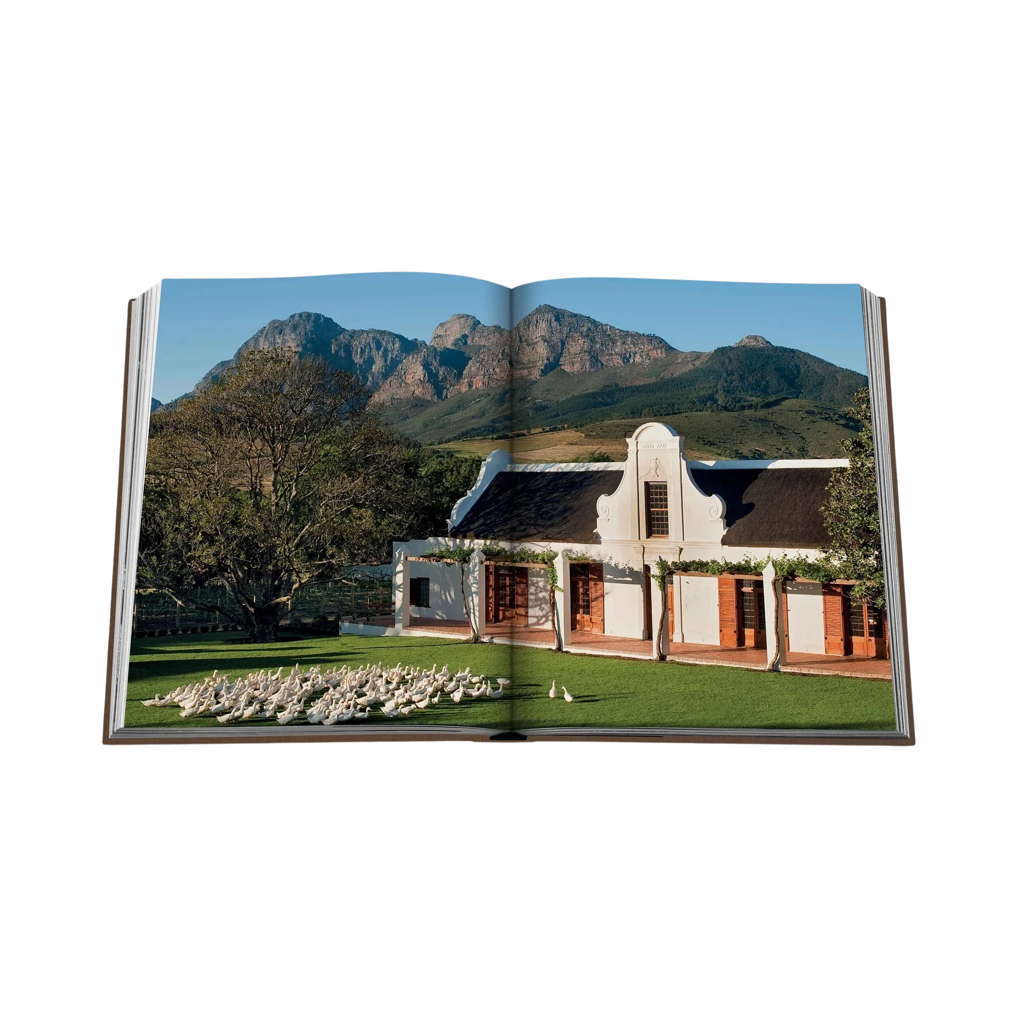 91675 ASSOULINE SECRET STAYS LIVRO - Image 8