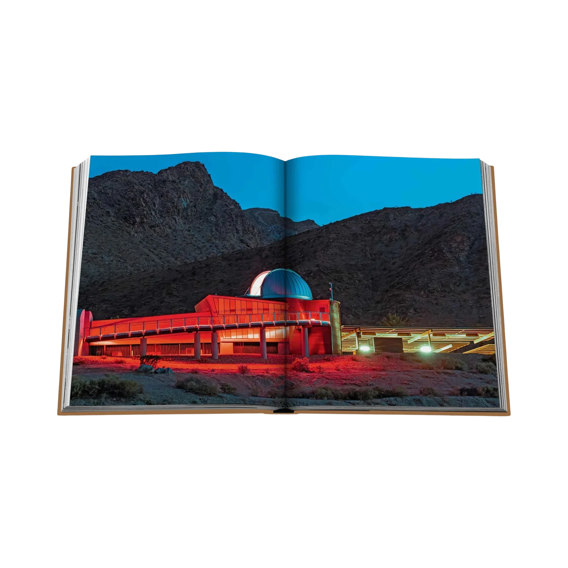 92289 ASSOULINE PALM SPRINGS LIVRO - Image 4