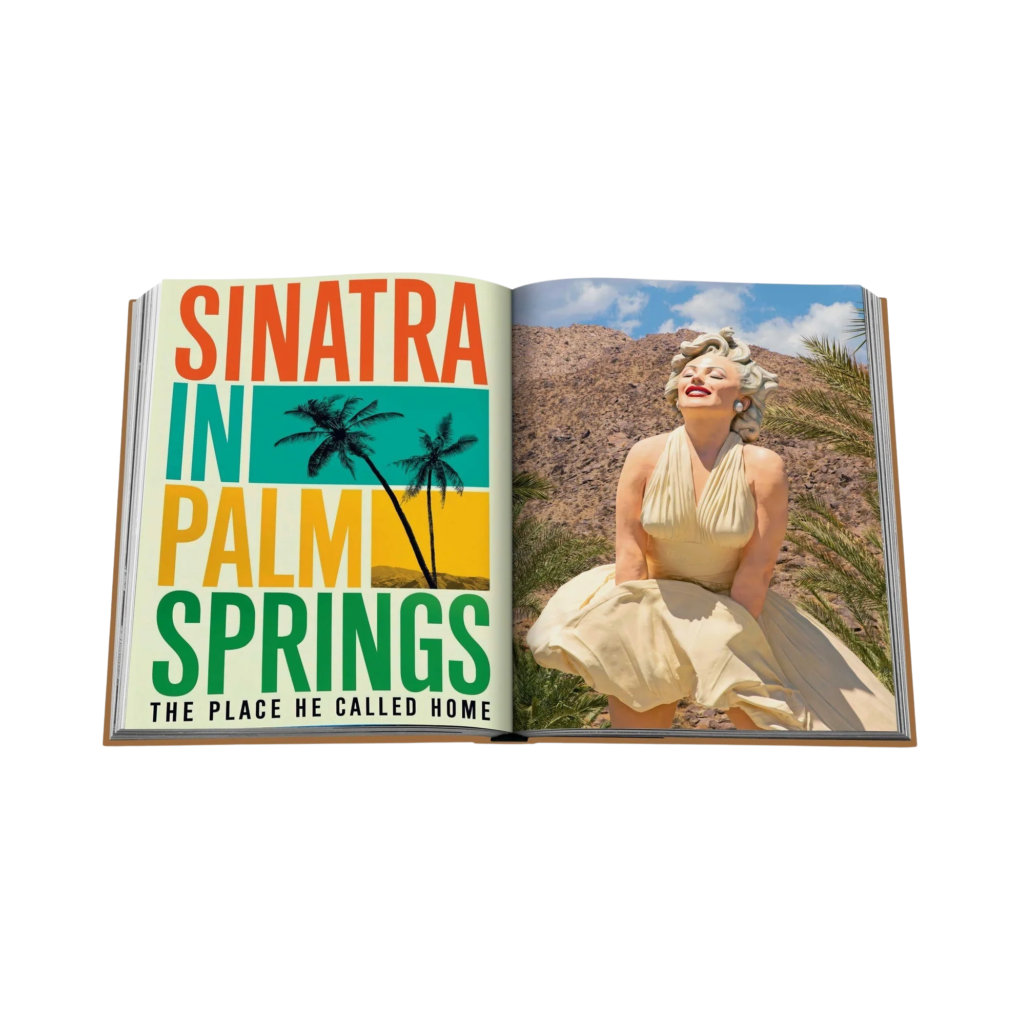 92289 ASSOULINE PALM SPRINGS LIVRO - Image 5
