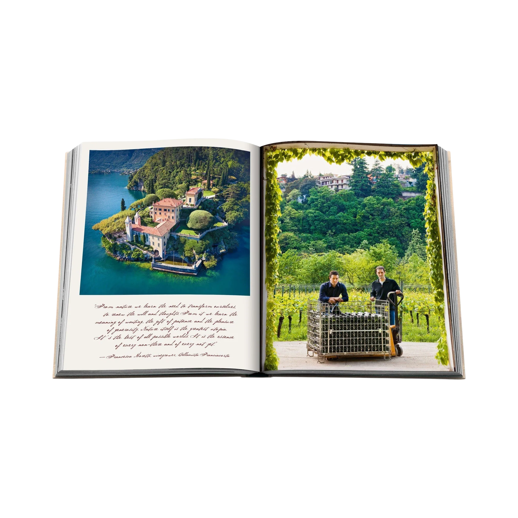 92293 ASSOULINE WINE & TRAVEL ITALY LIVRO - Image 6