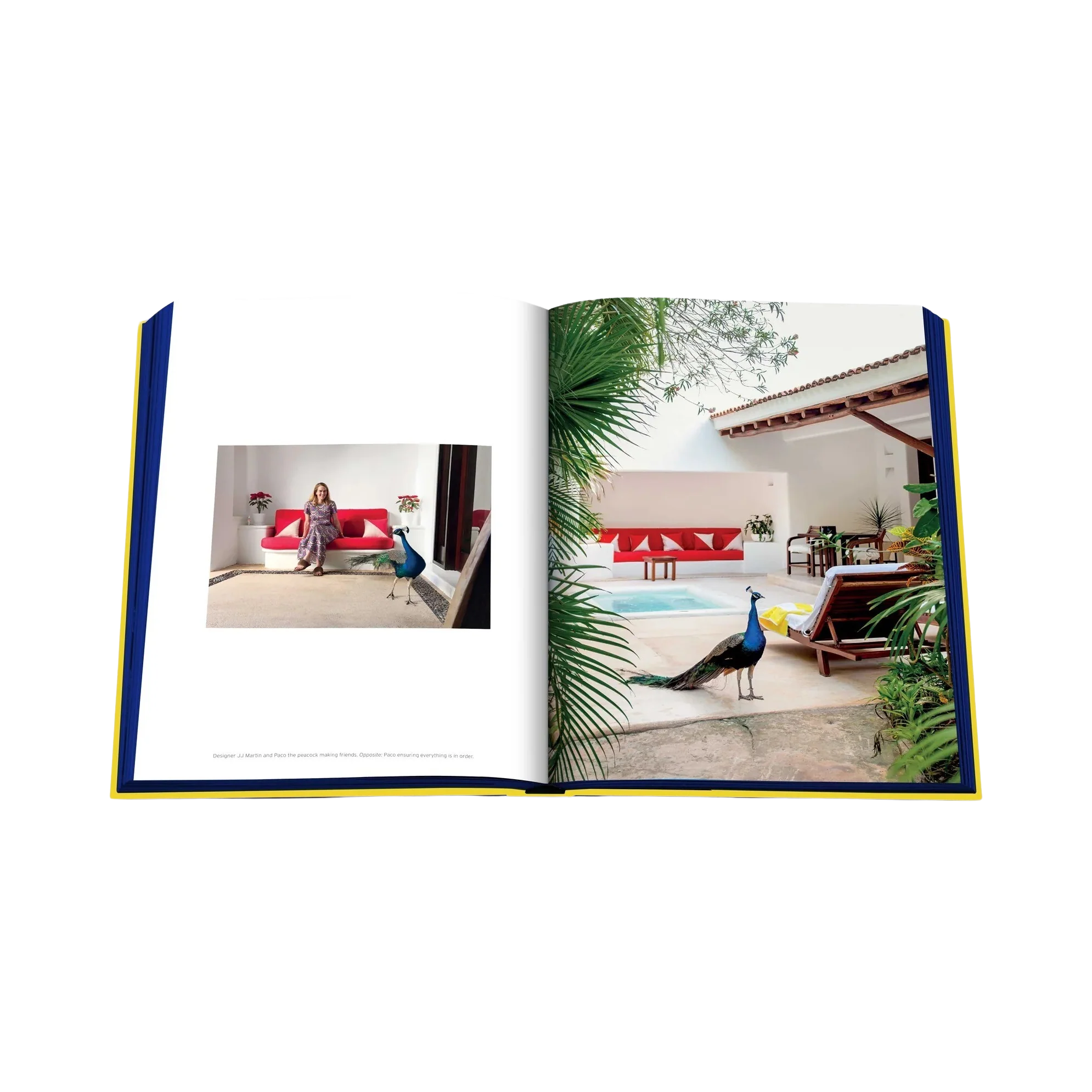 92300 ASSOULINE HOTEL ESENCIA LIVRO - Image 5