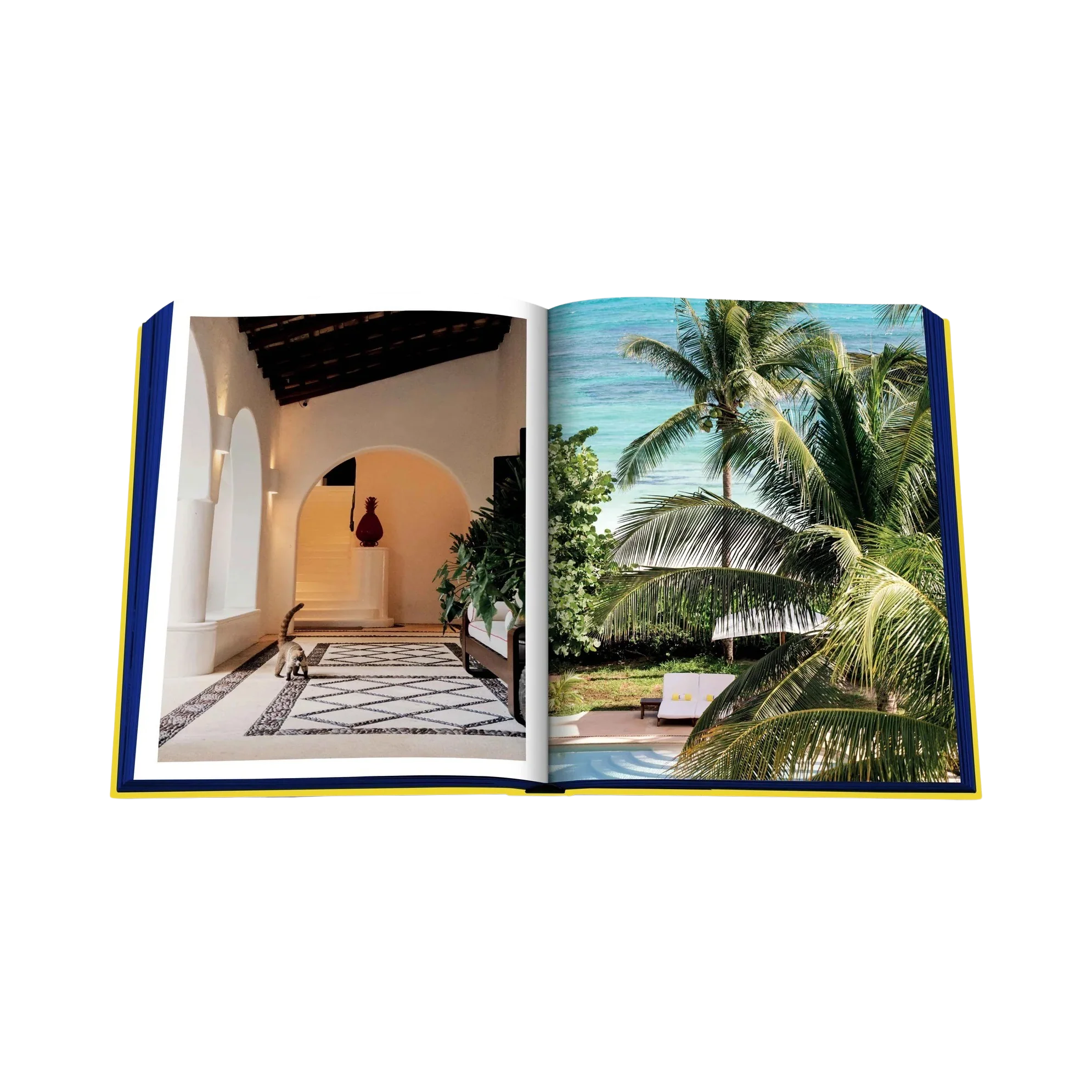 92300 ASSOULINE HOTEL ESENCIA LIVRO - Image 6