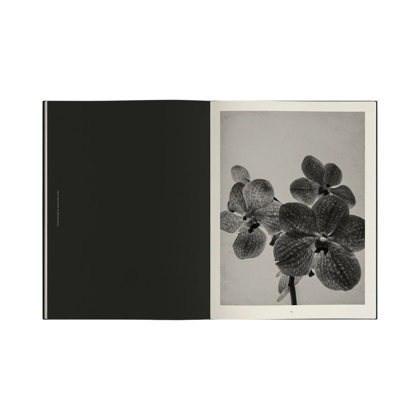92414 THE REINVENTION OF FORMS - GREY LIVRO - Image 6