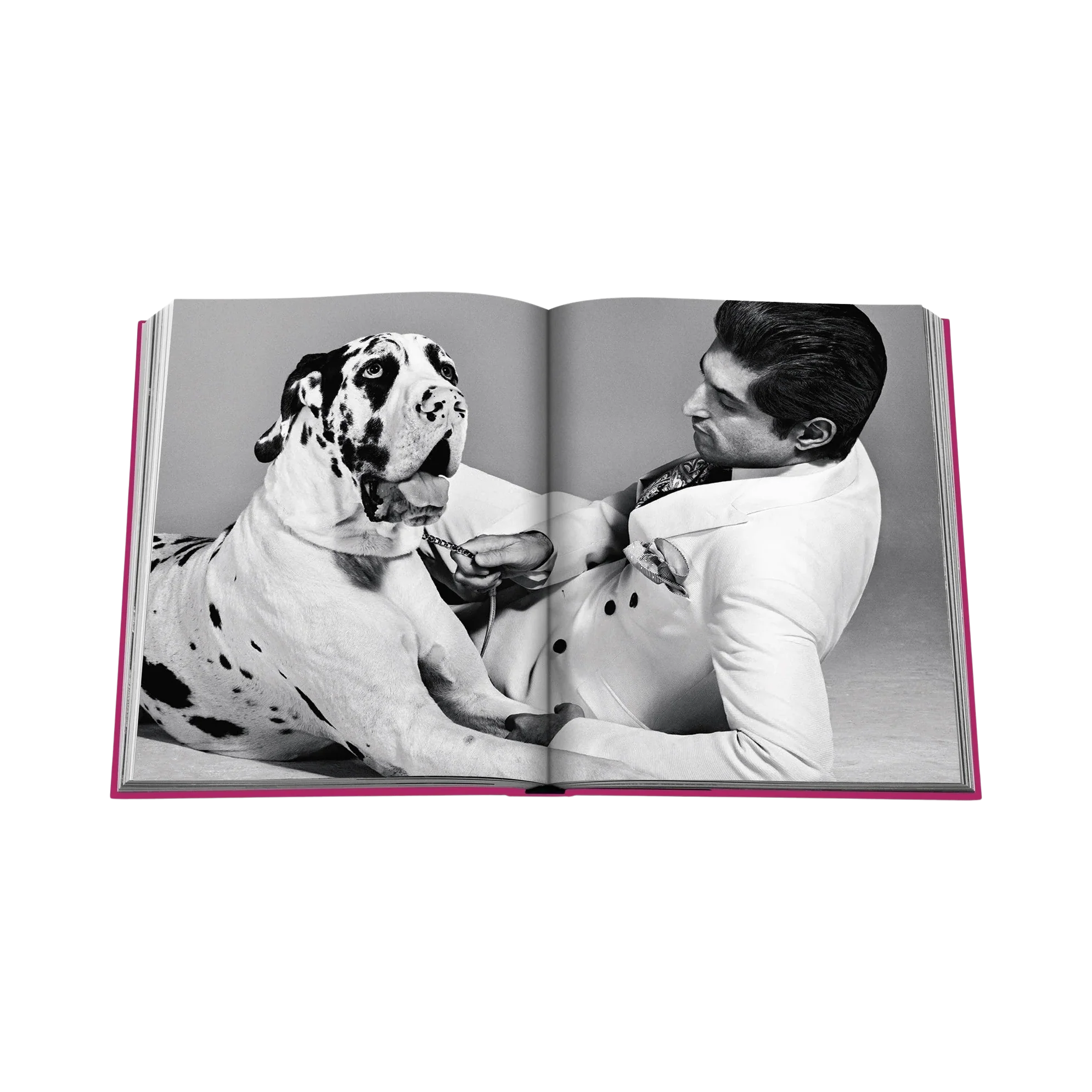 93683 ASSOULINE CHIC DOGS LIVRO - Image 4