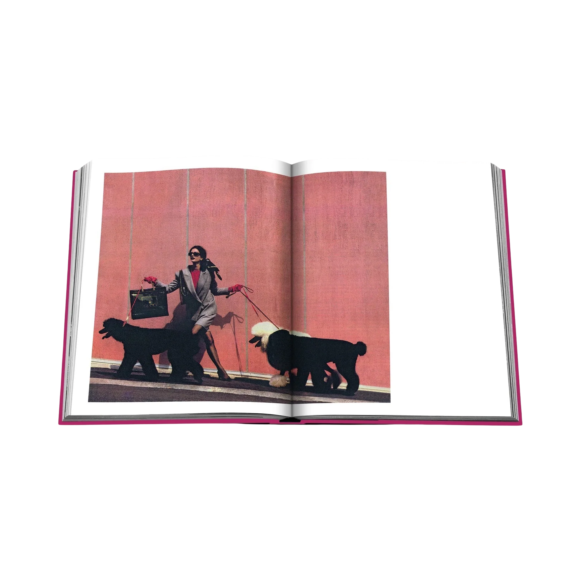 93683 ASSOULINE CHIC DOGS LIVRO - Image 6