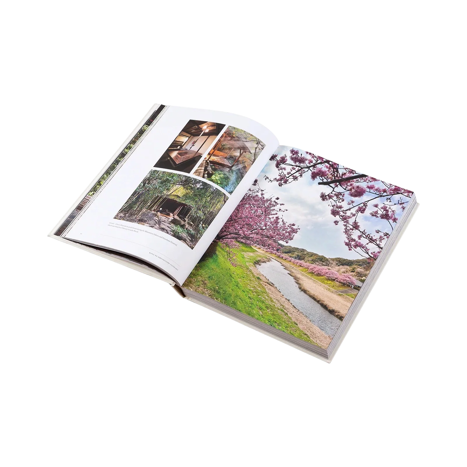 94873 GESTALTEN ONSEN AND RYOKAN OF JAPAN LIVRO - Image 3