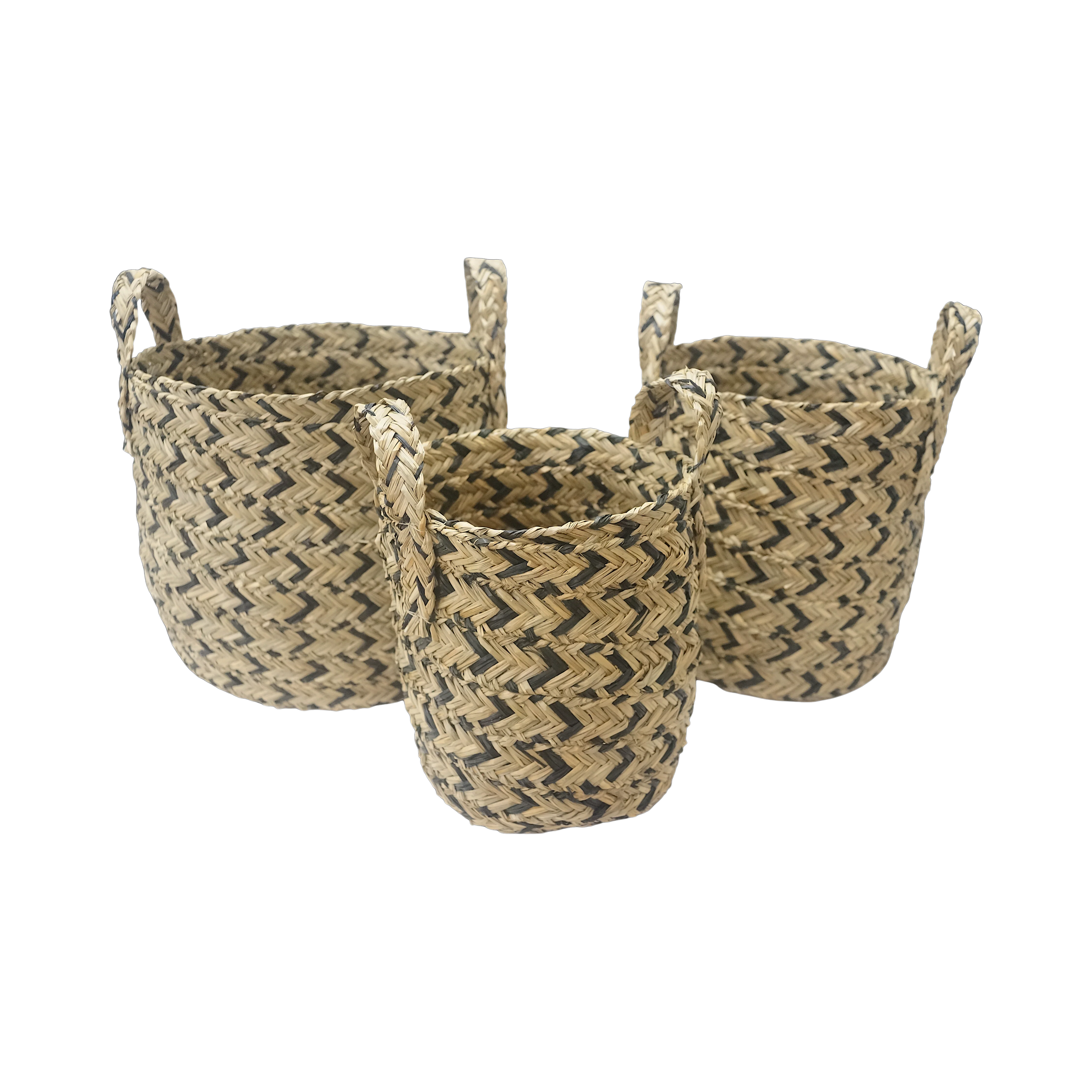 AGASEKE CESTO - Image 2