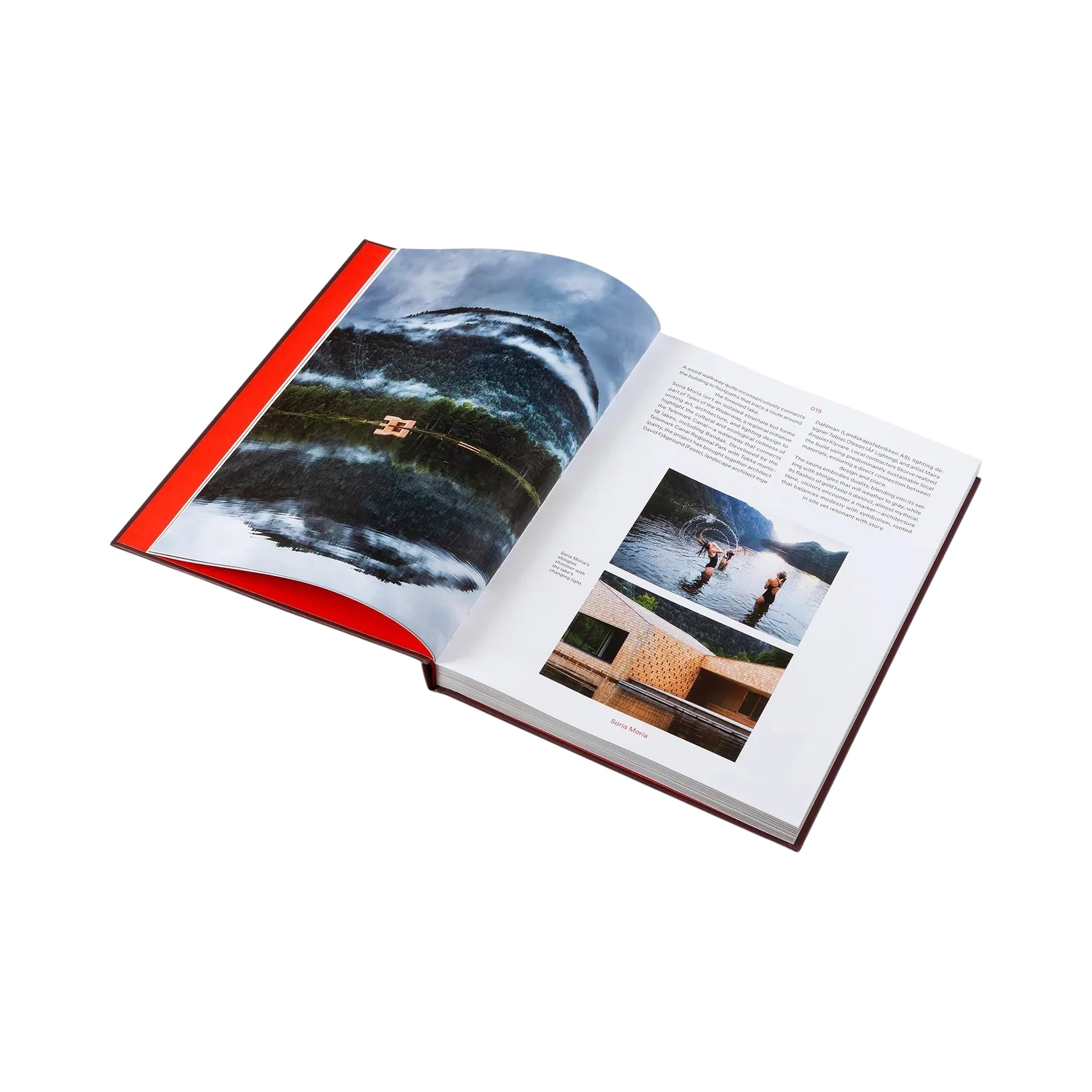 95637 GESTALTEN RIDICULOUSLY GOOD LOOKING SAUNAS LIVRO - Image 2