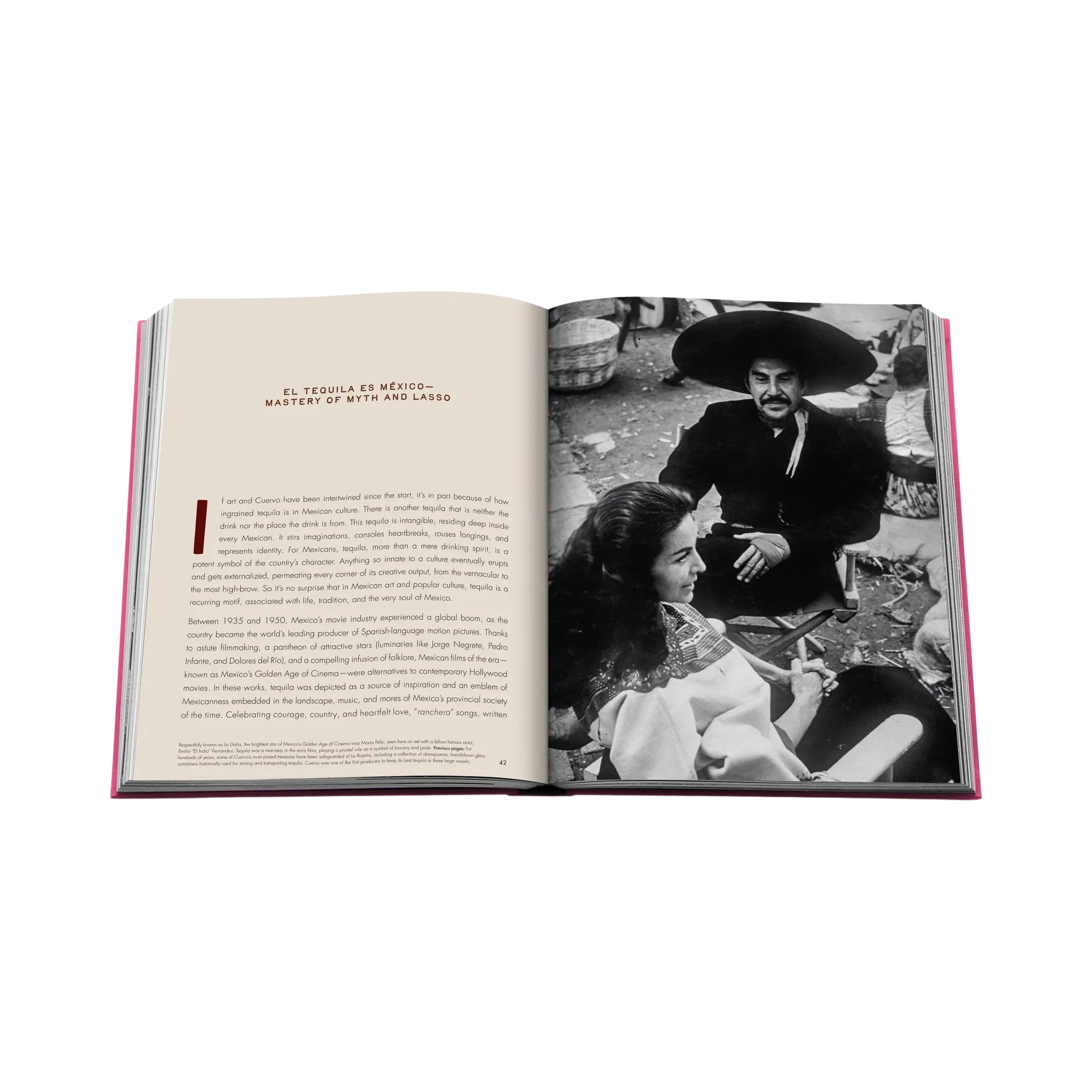 95661 ASSOULINE THE ART OF TEQUILA: SPIRIT OF MEXICO LIVRO - Image 2