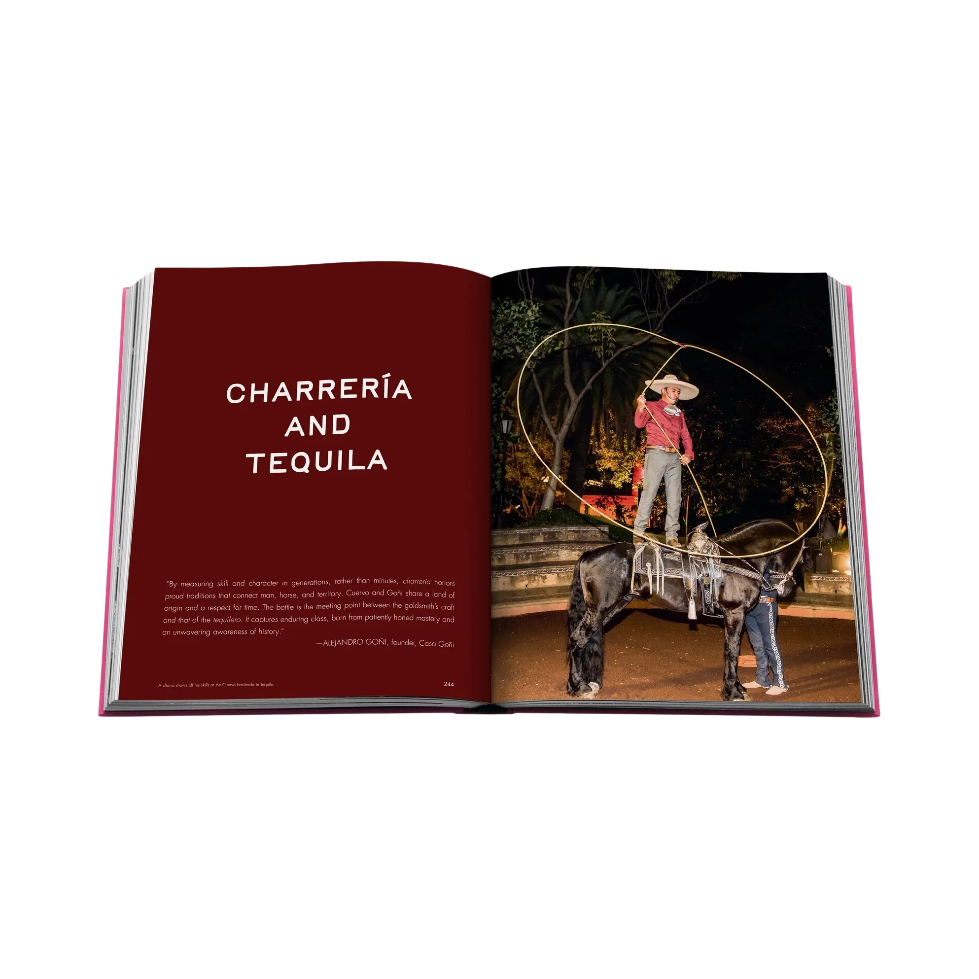 95661 ASSOULINE THE ART OF TEQUILA: SPIRIT OF MEXICO LIVRO - Image 7