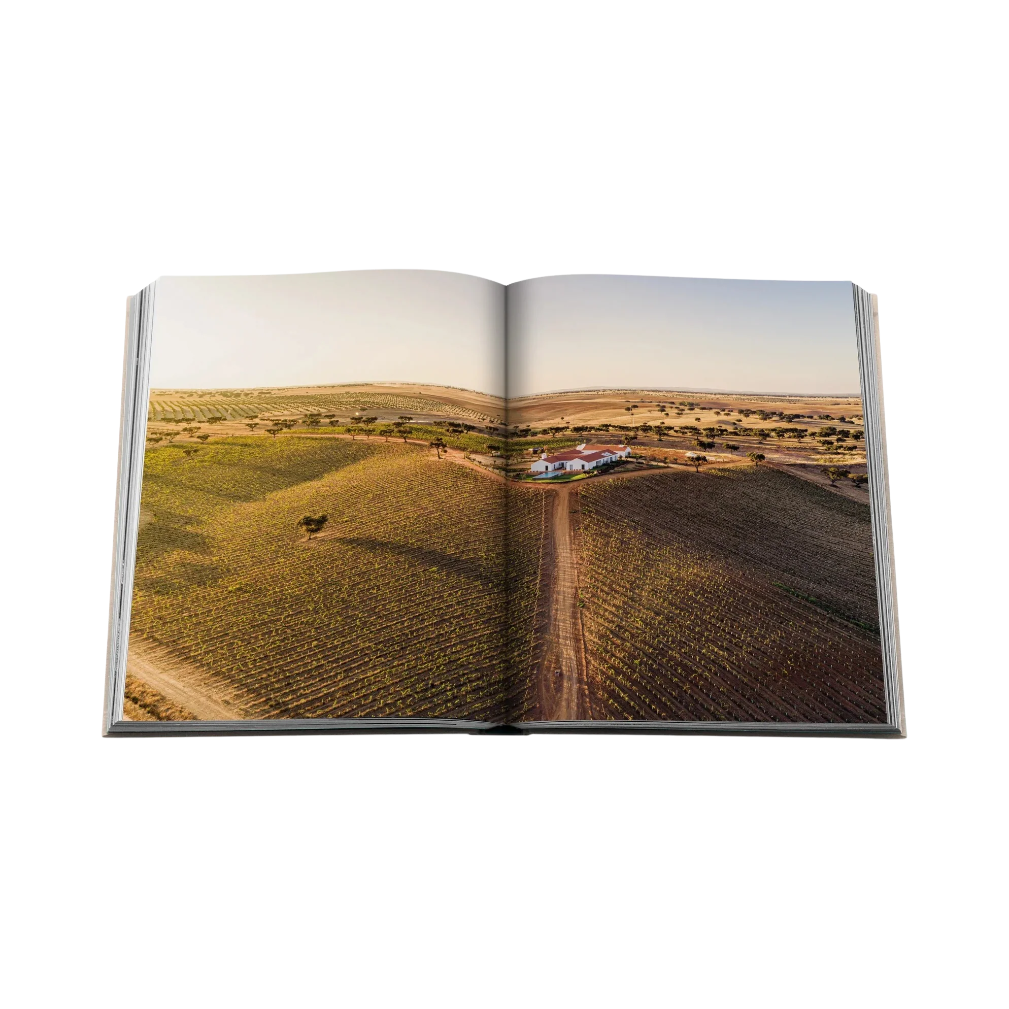 95663 ASSOULINE MALHADINHA: THE SOUL OF ALENTEJO LIVRO - Image 3