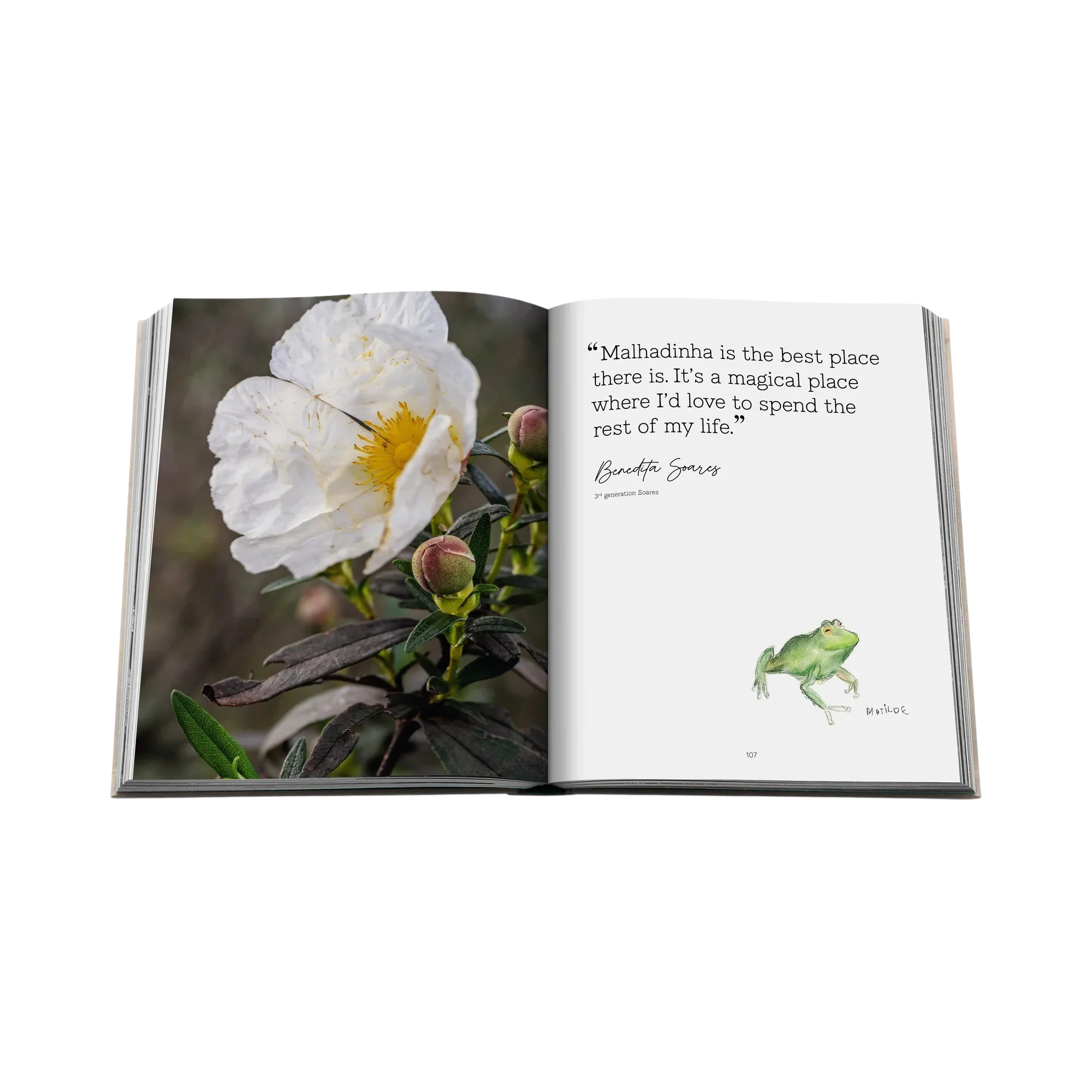 95663 ASSOULINE MALHADINHA: THE SOUL OF ALENTEJO LIVRO - Image 6