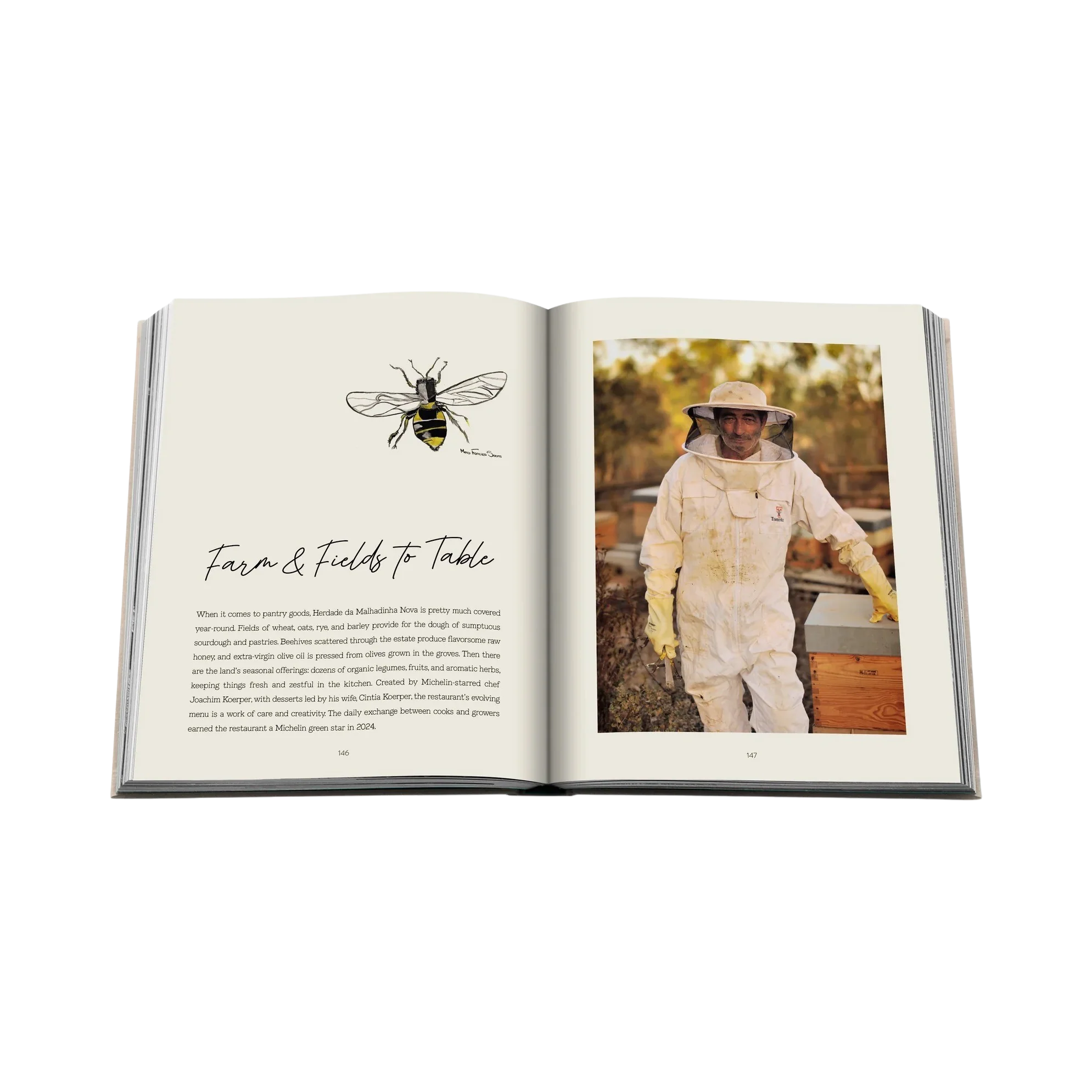 95663 ASSOULINE MALHADINHA: THE SOUL OF ALENTEJO LIVRO - Image 7